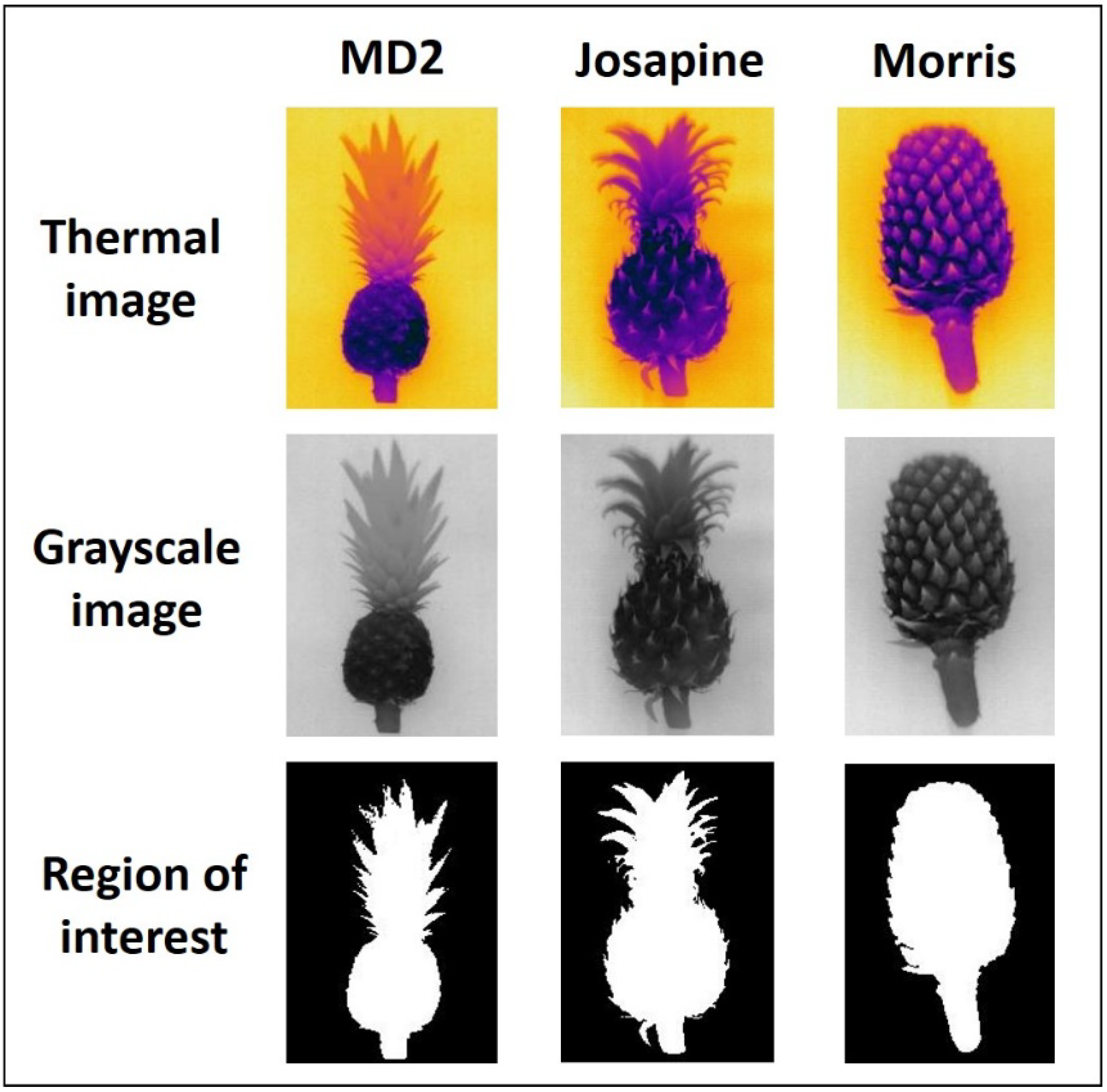 Agriculture 12 01013 g002
