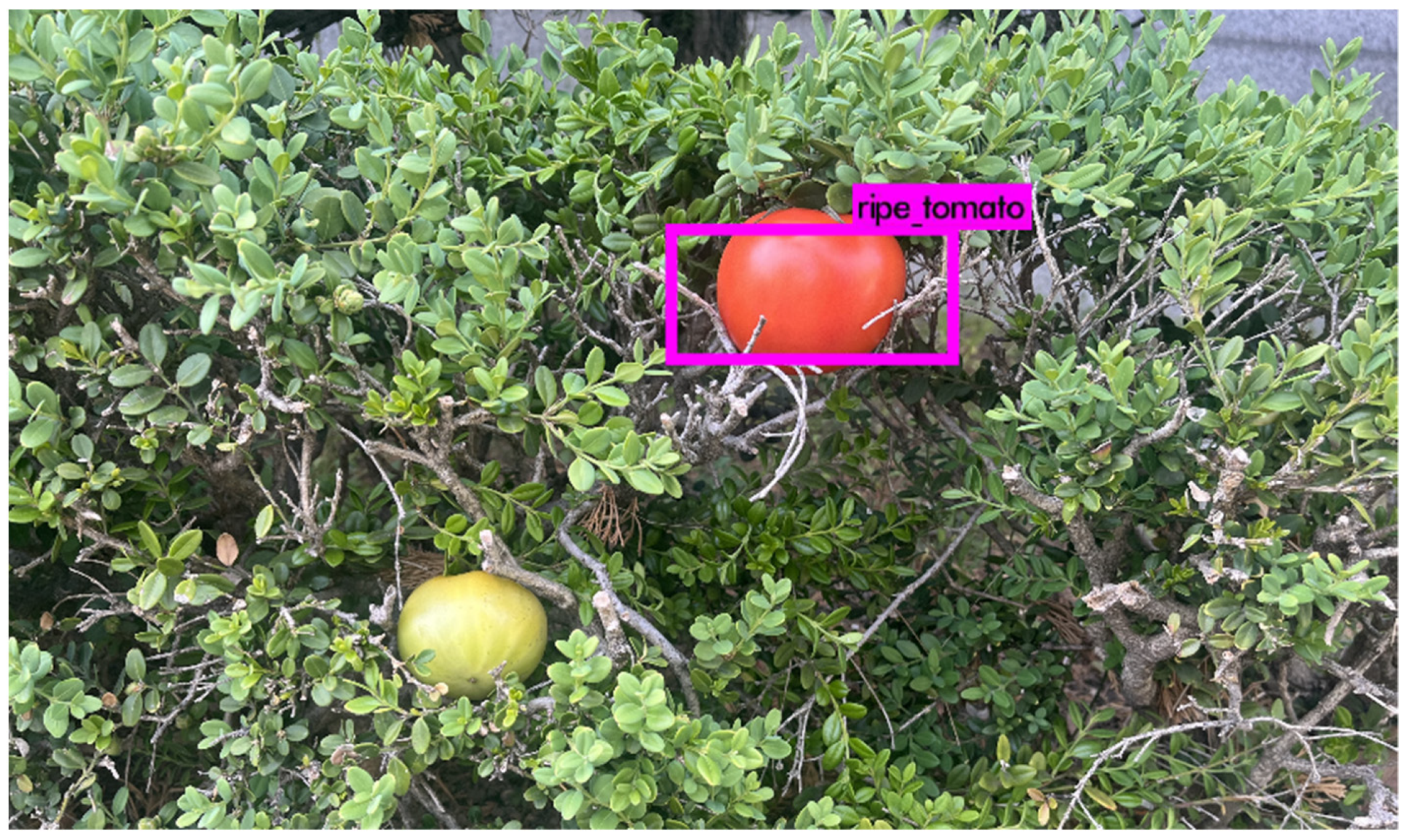 Agriculture 12 01054 g012