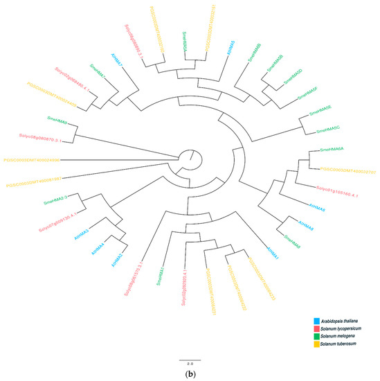 Agriculture 12 01059 g0a1b
