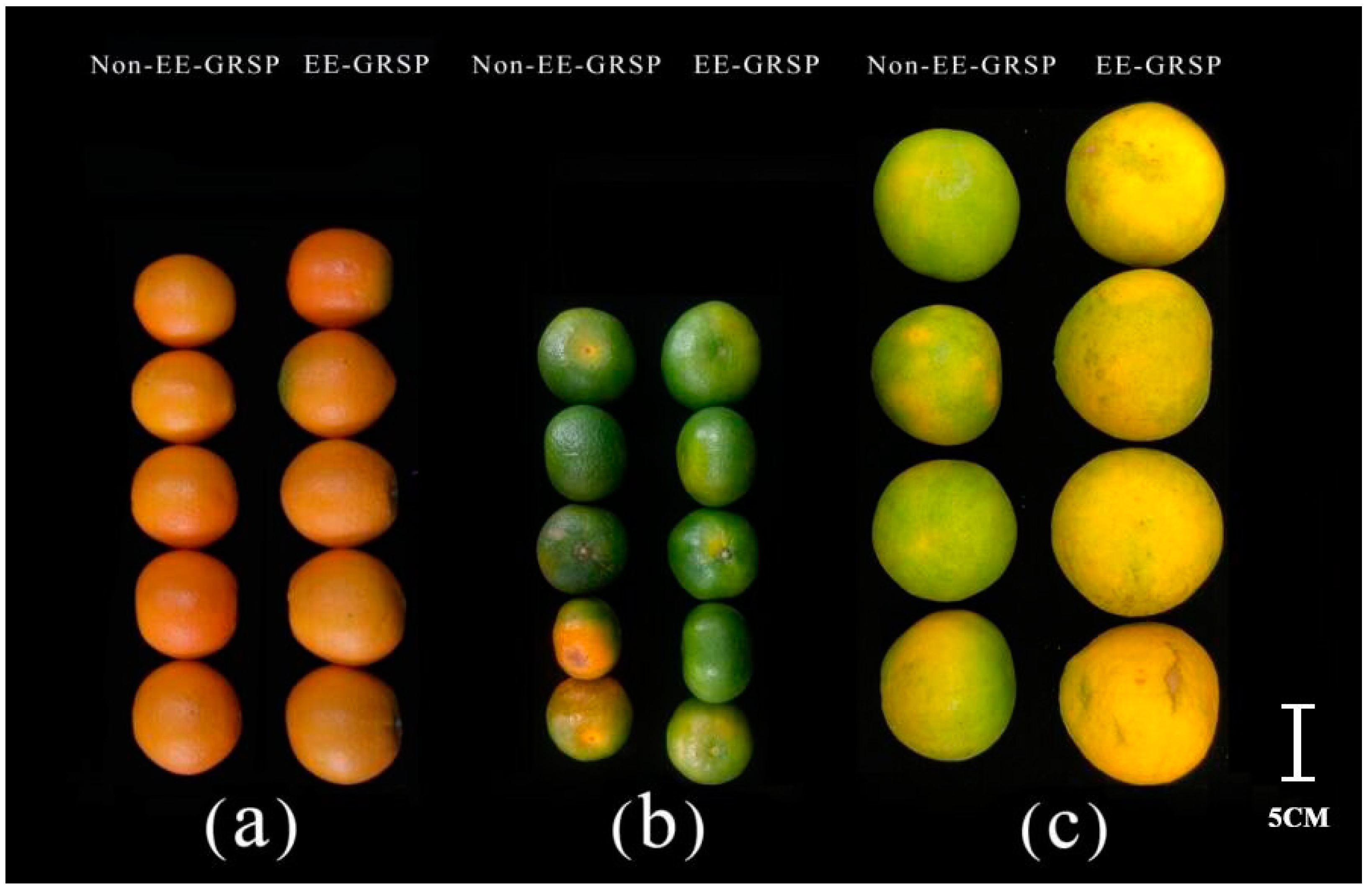 Agriculture 12 01076 g002