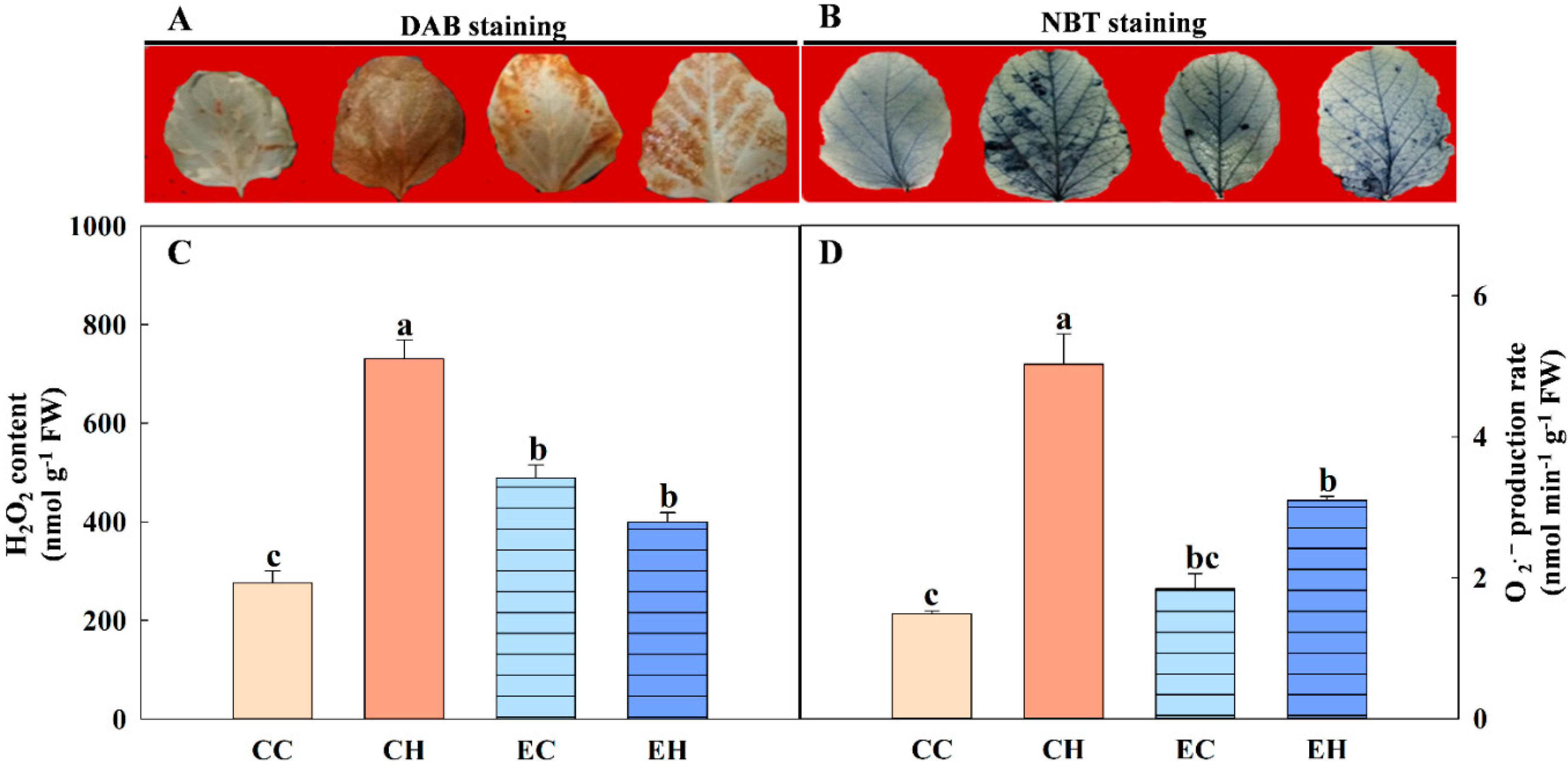 Agriculture 12 01095 g002