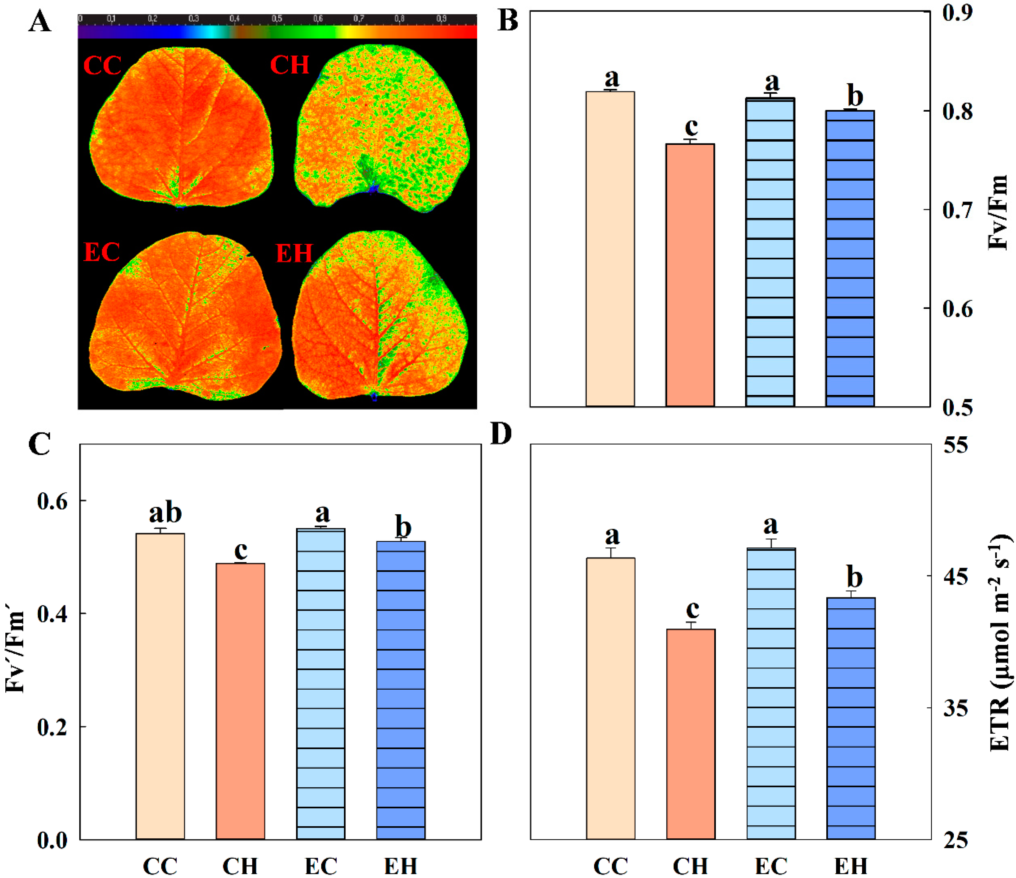 Agriculture 12 01095 g004