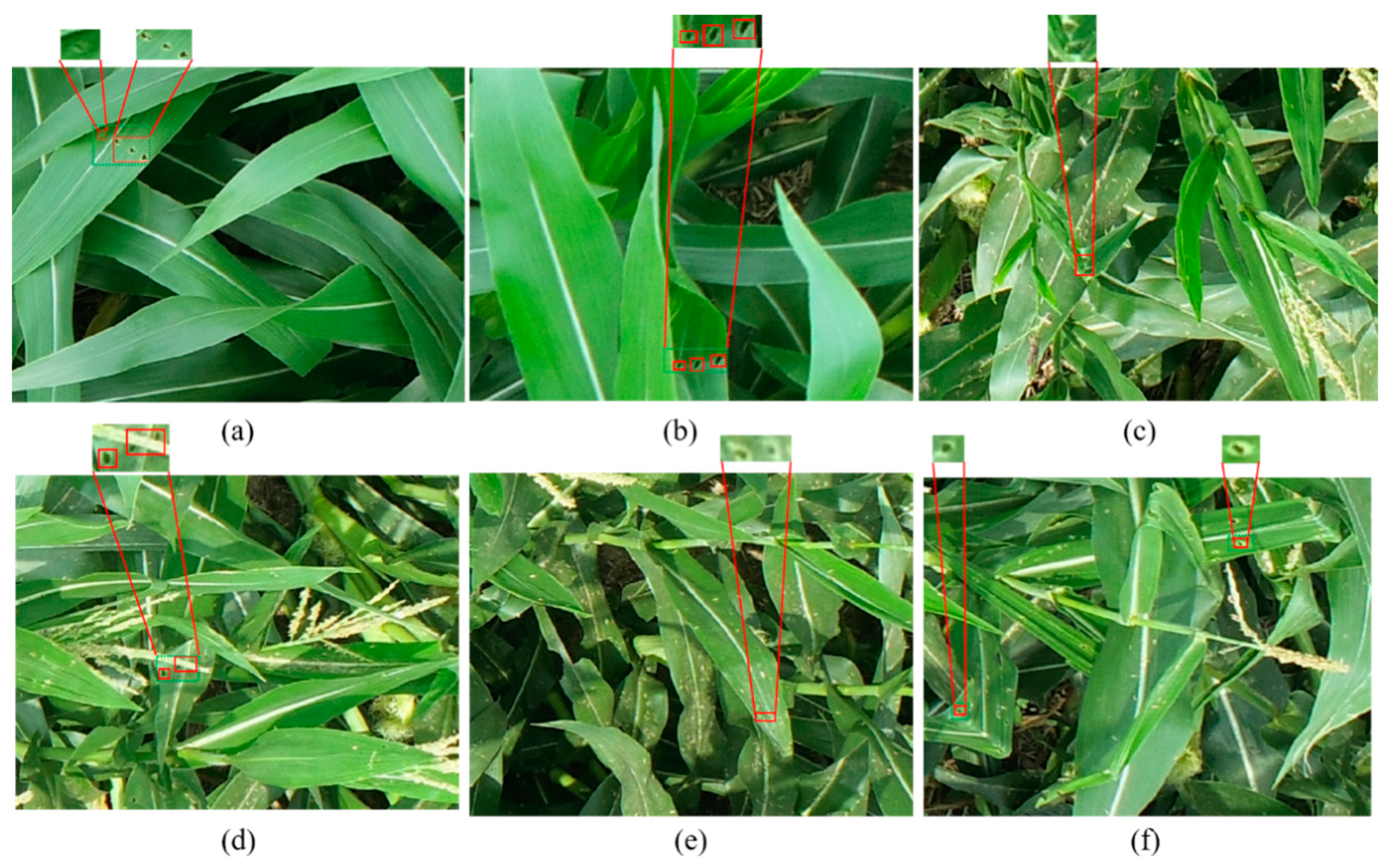 Agriculture 12 01104 g002