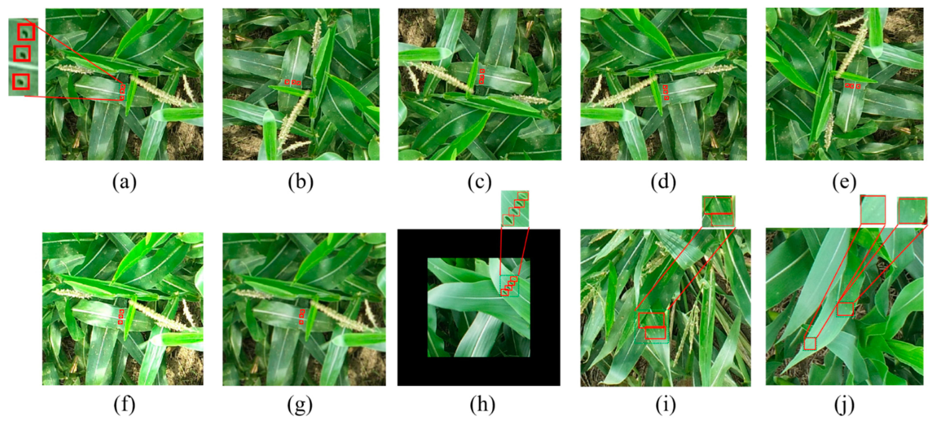 Agriculture 12 01104 g003