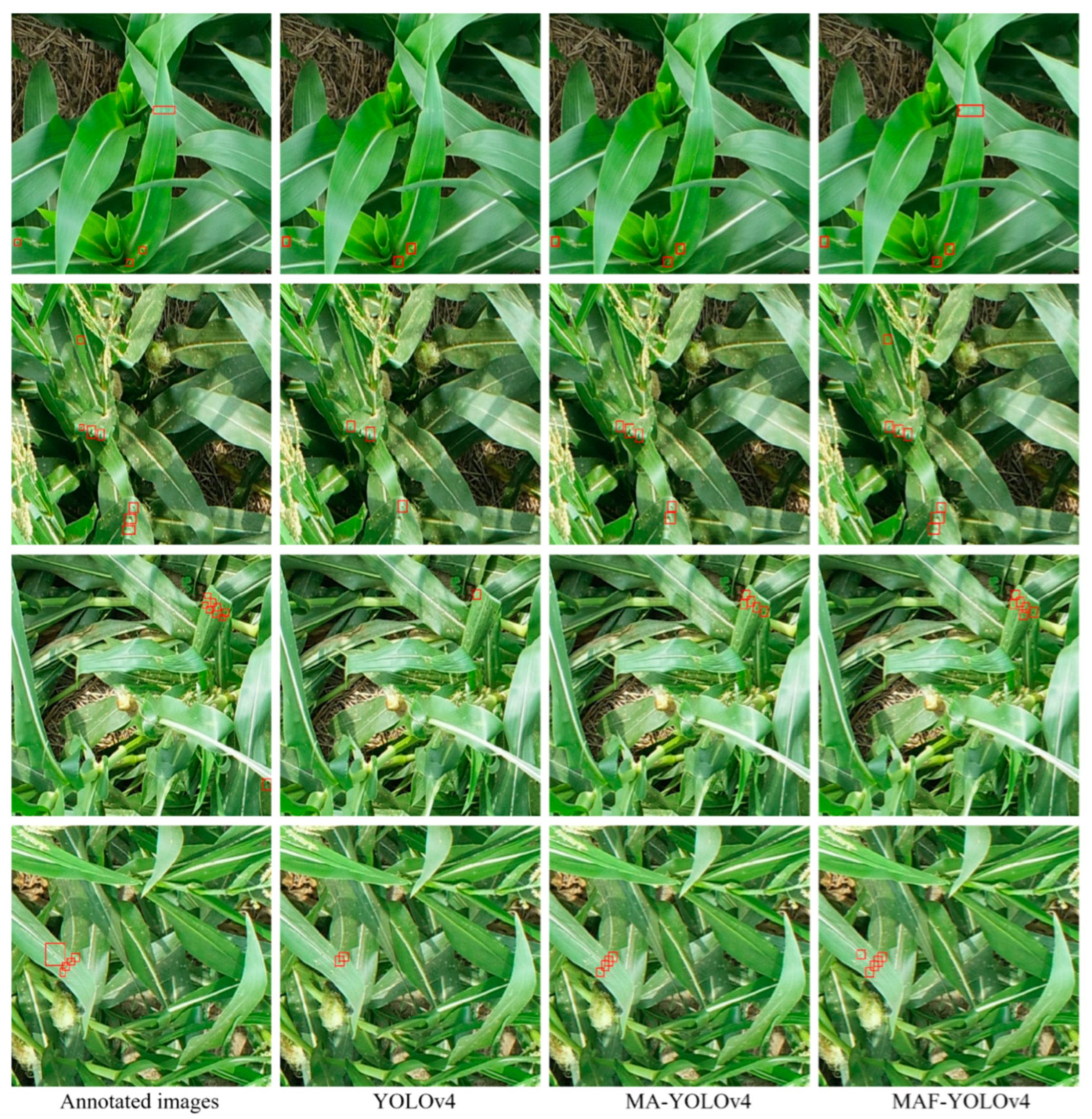 Agriculture 12 01104 g012