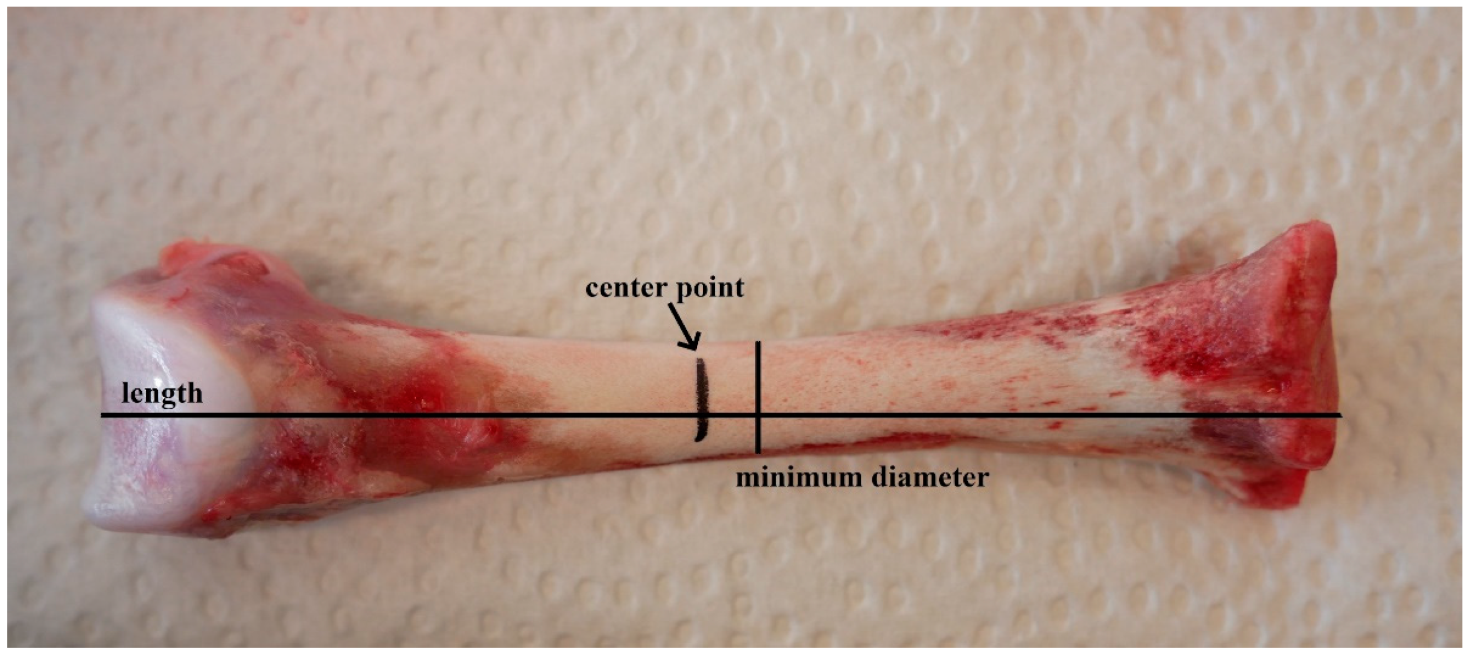 Agriculture 12 01109 g001 Agriculture 12 01109 g001