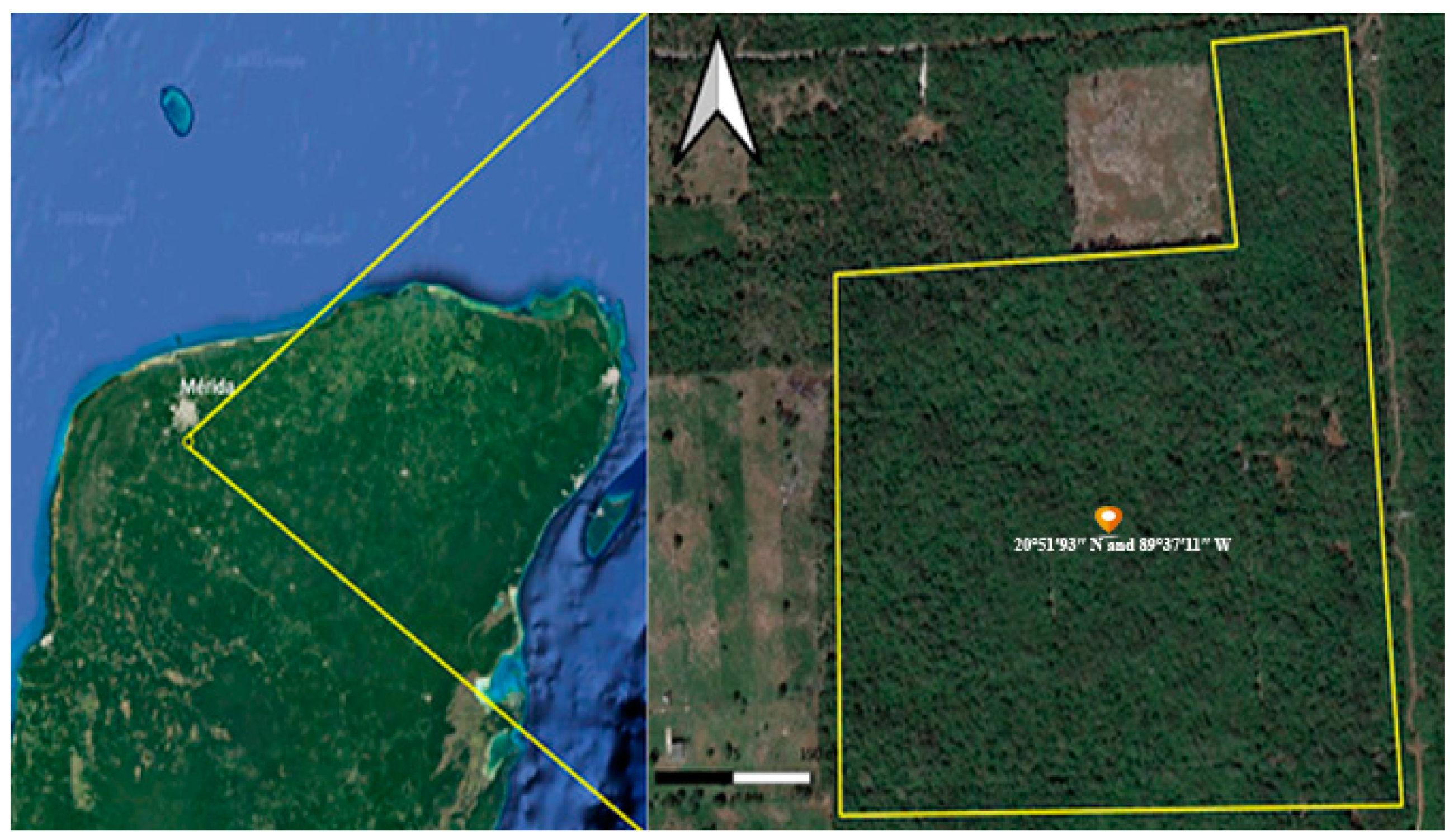 Agriculture 12 01110 g001