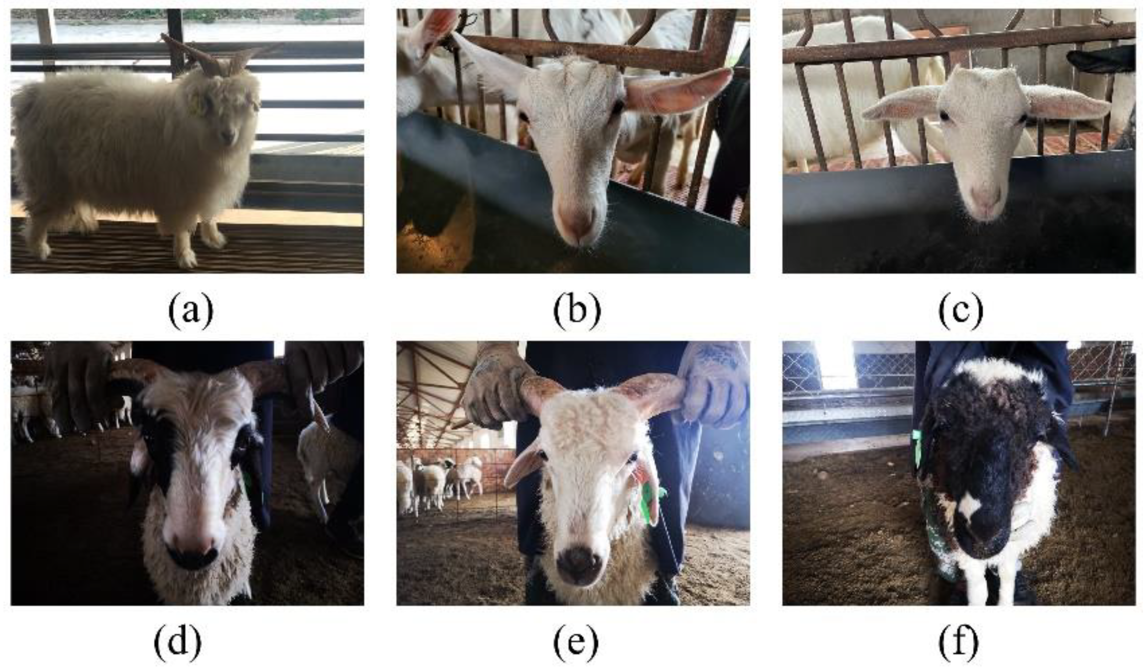 Agriculture 12 01126 g001