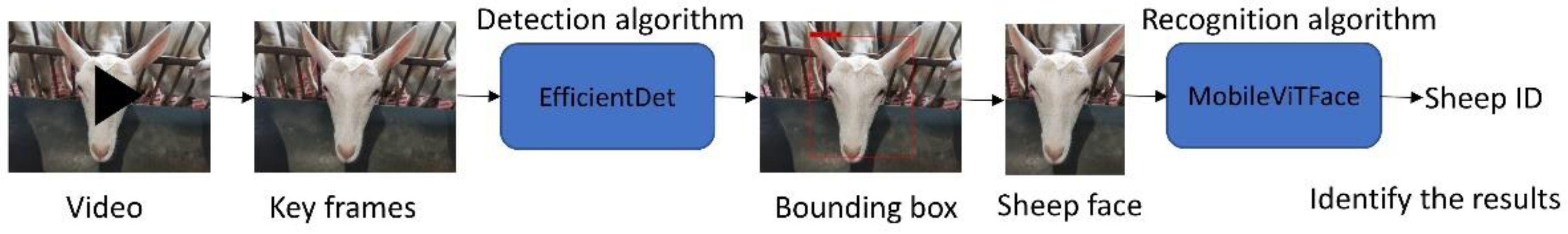 Agriculture 12 01126 g002