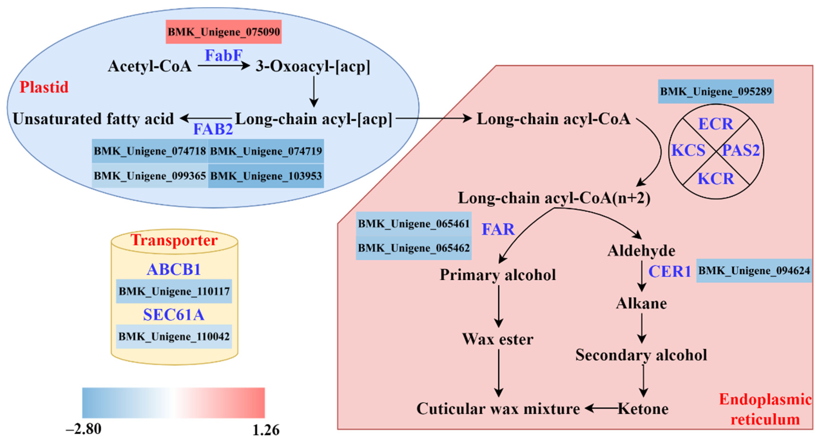 Agriculture 12 01154 g006