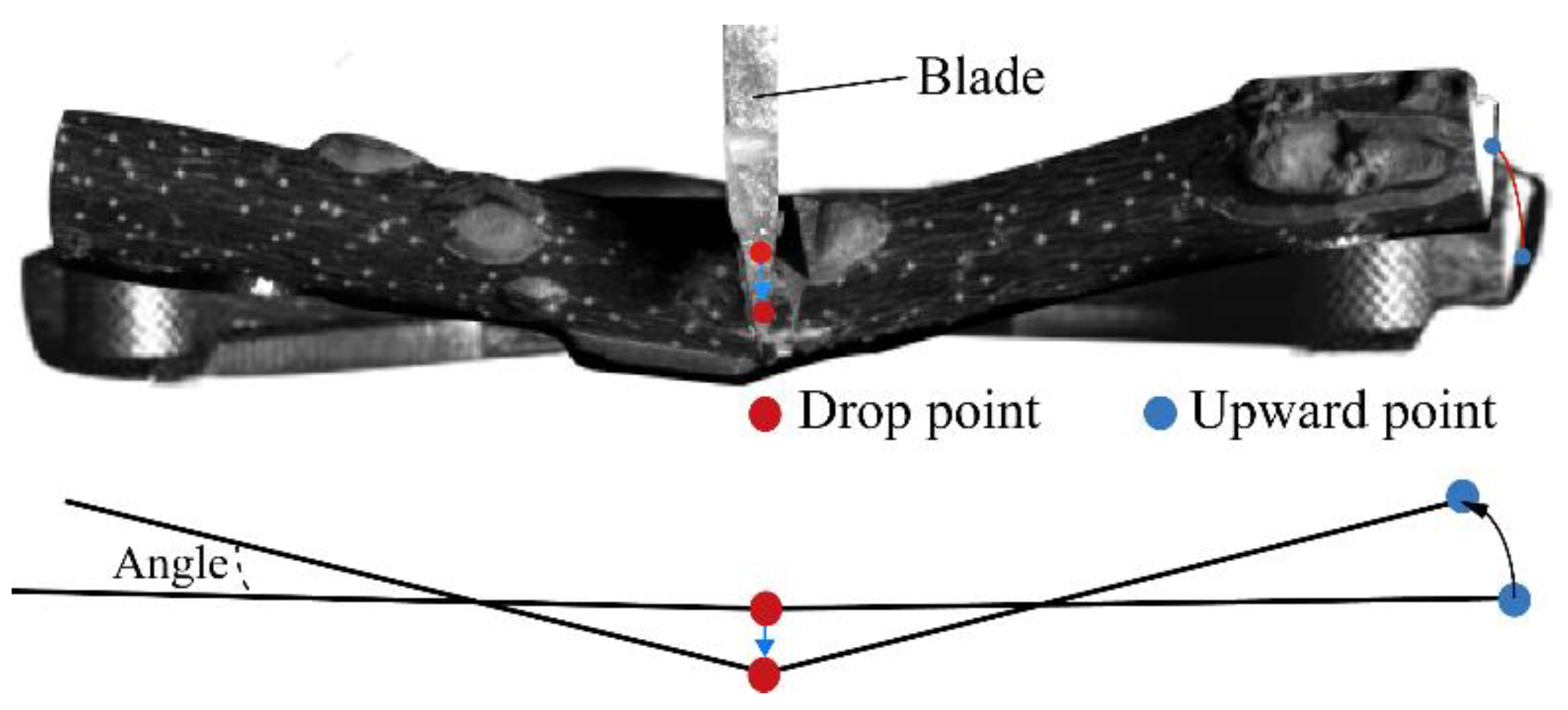 Agriculture 12 01165 g011
