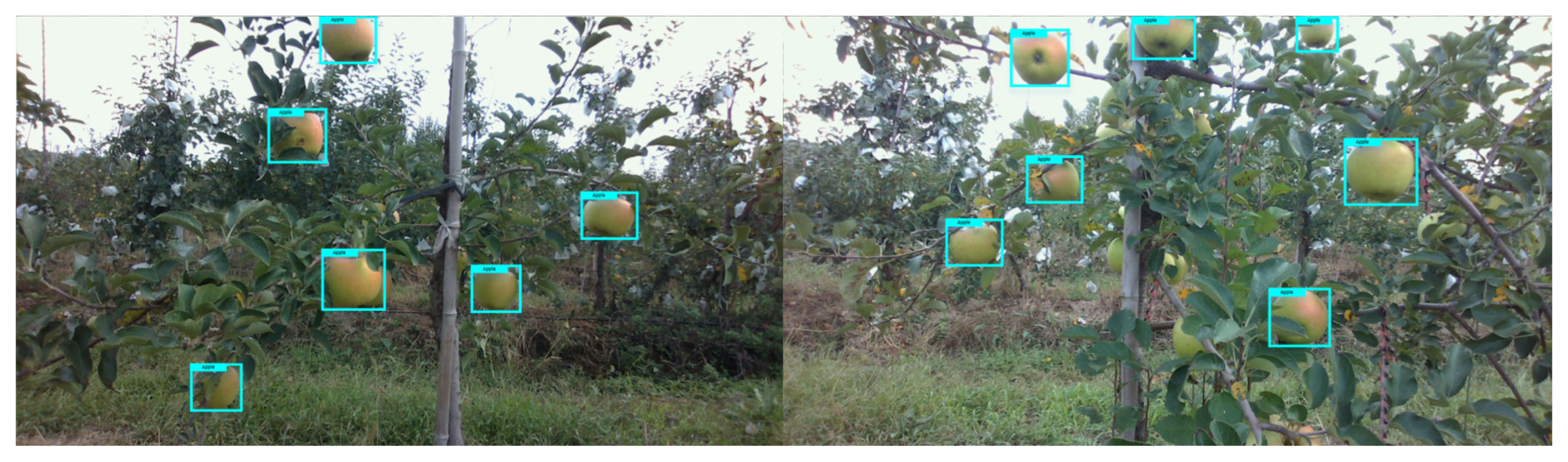 Agriculture 12 01170 g005