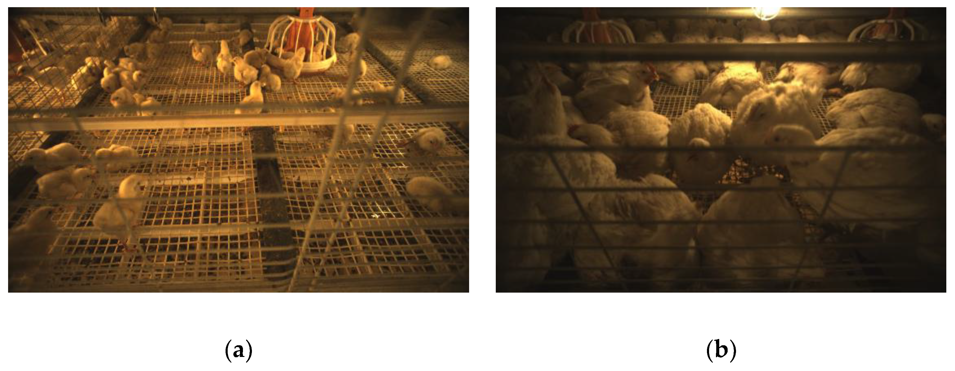 Agriculture 12 01176 g008