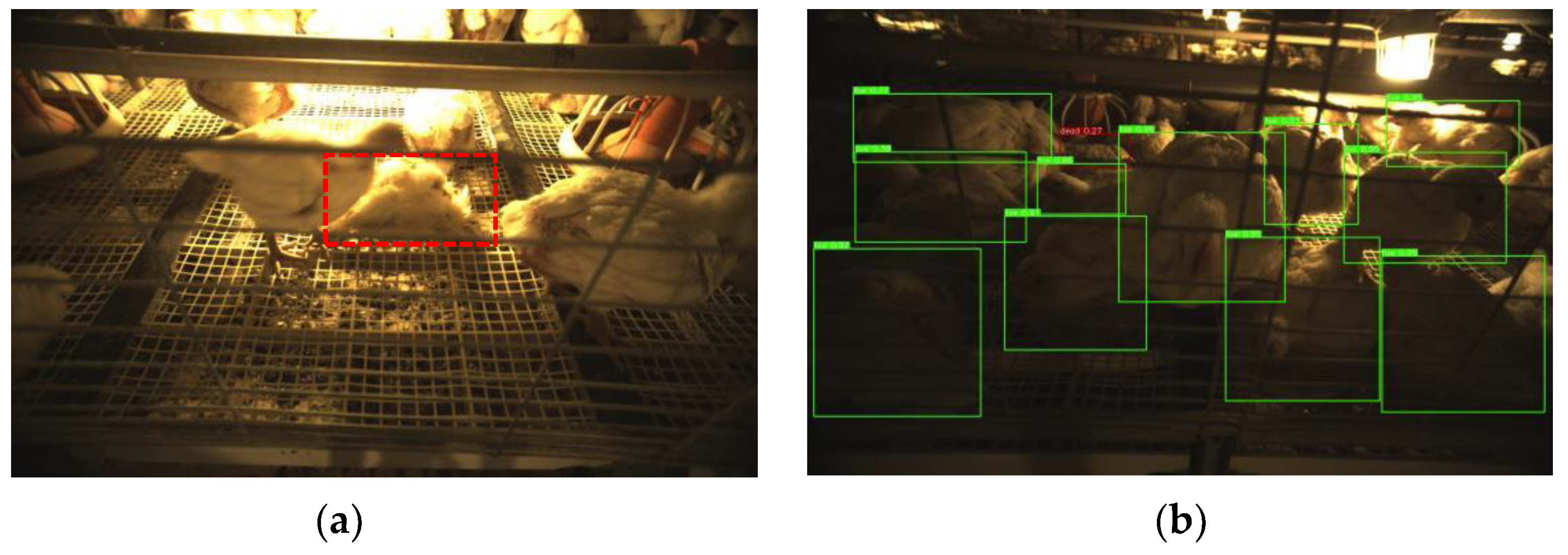 Agriculture 12 01176 g012