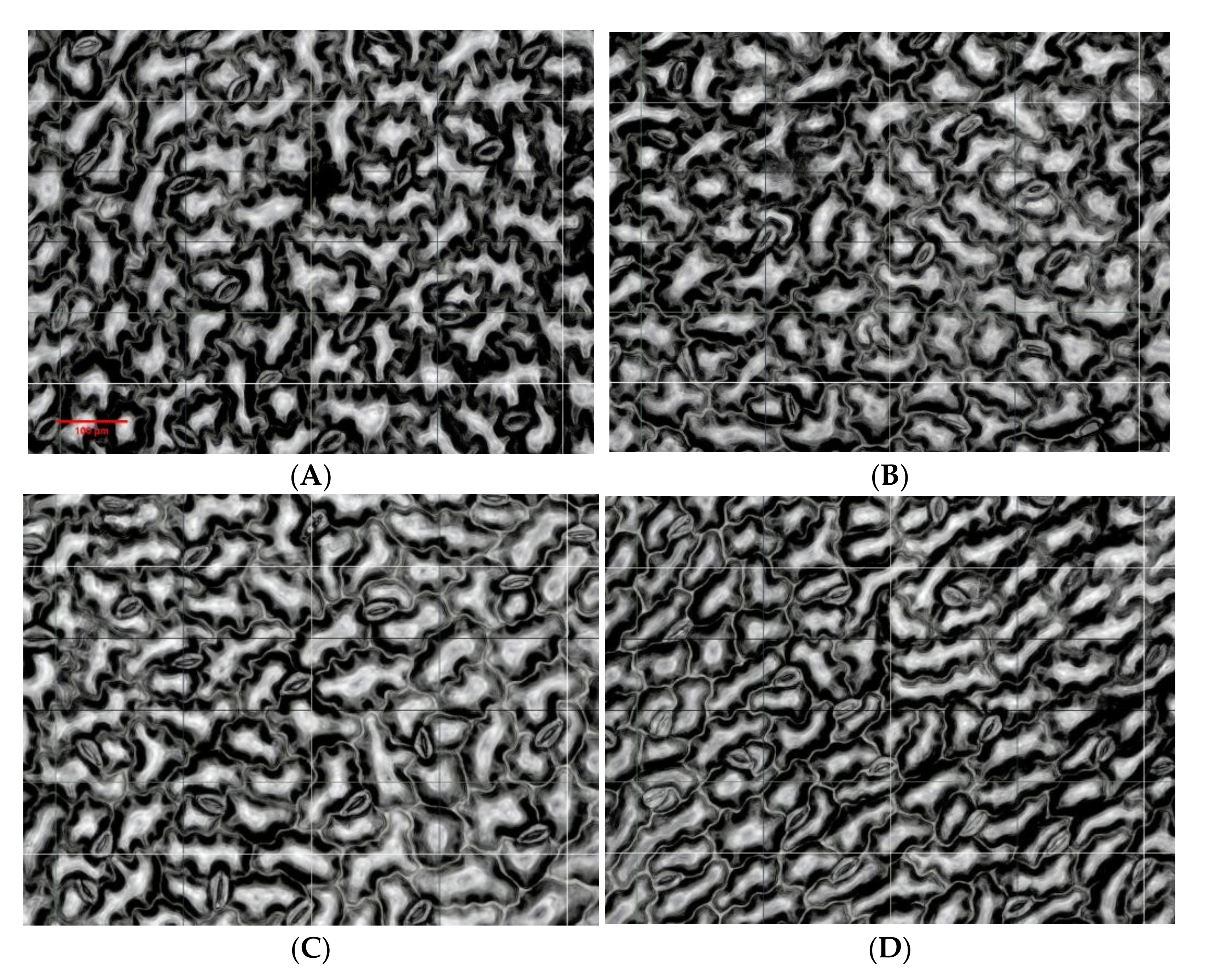 Agriculture 12 01187 g004