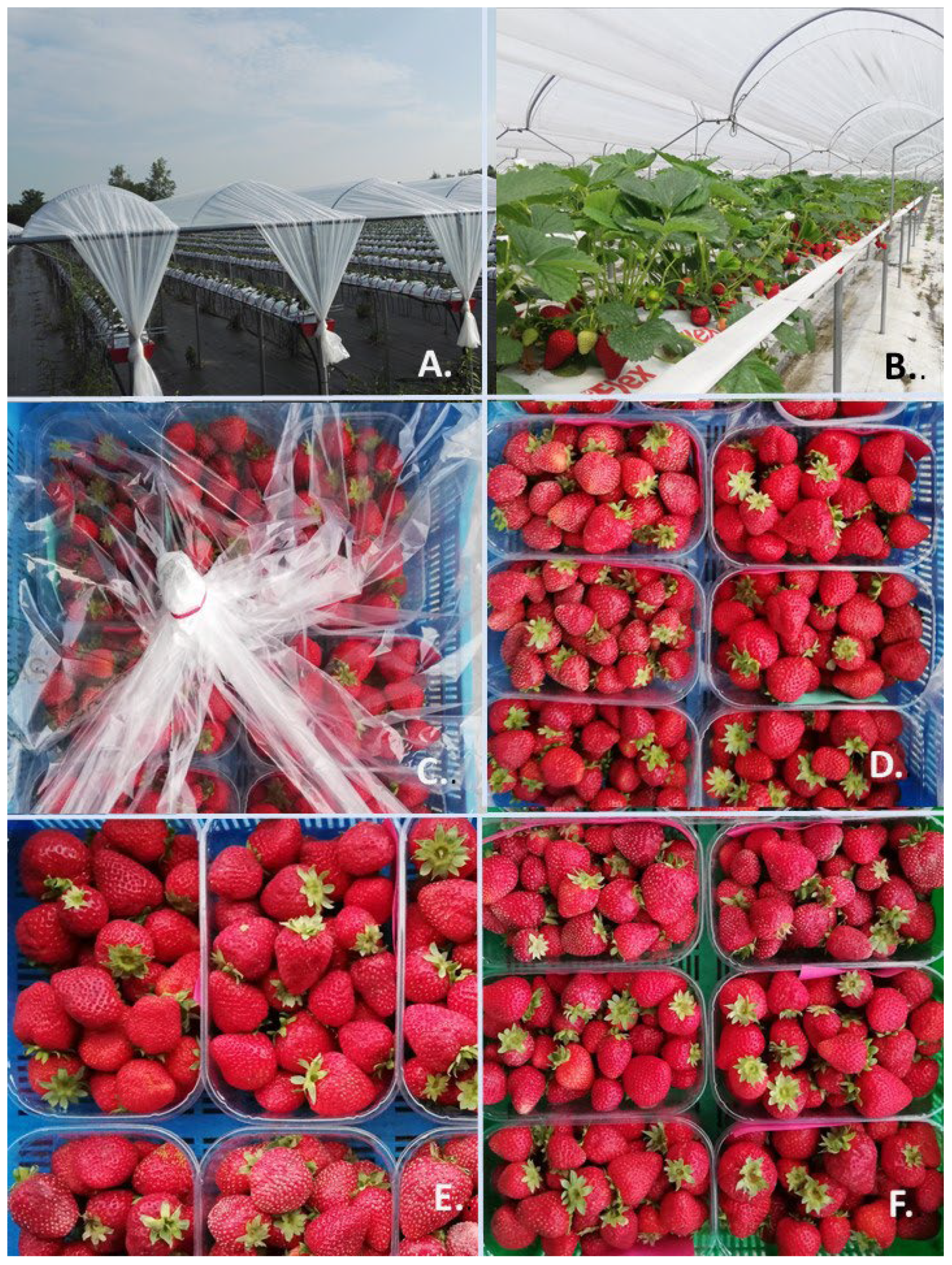 Agriculture 12 01193 g001