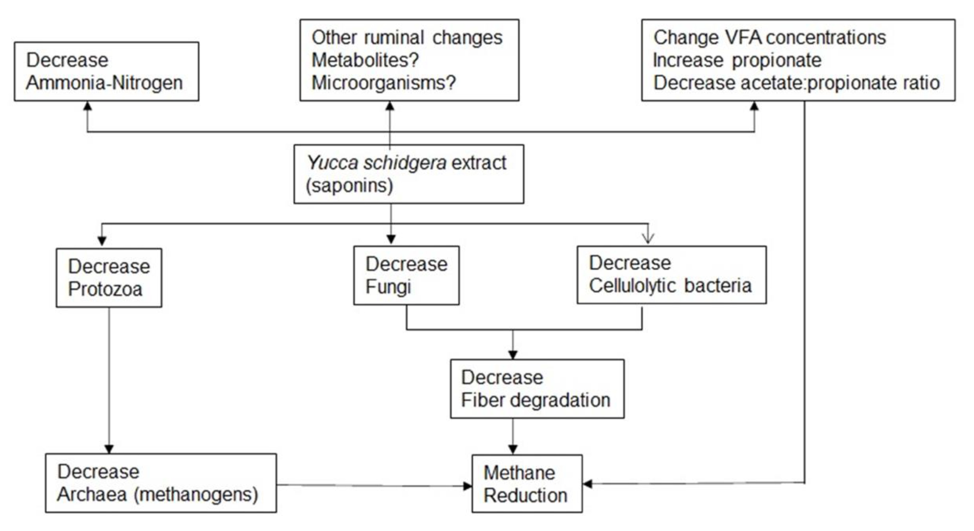 Agriculture 12 01198 g001