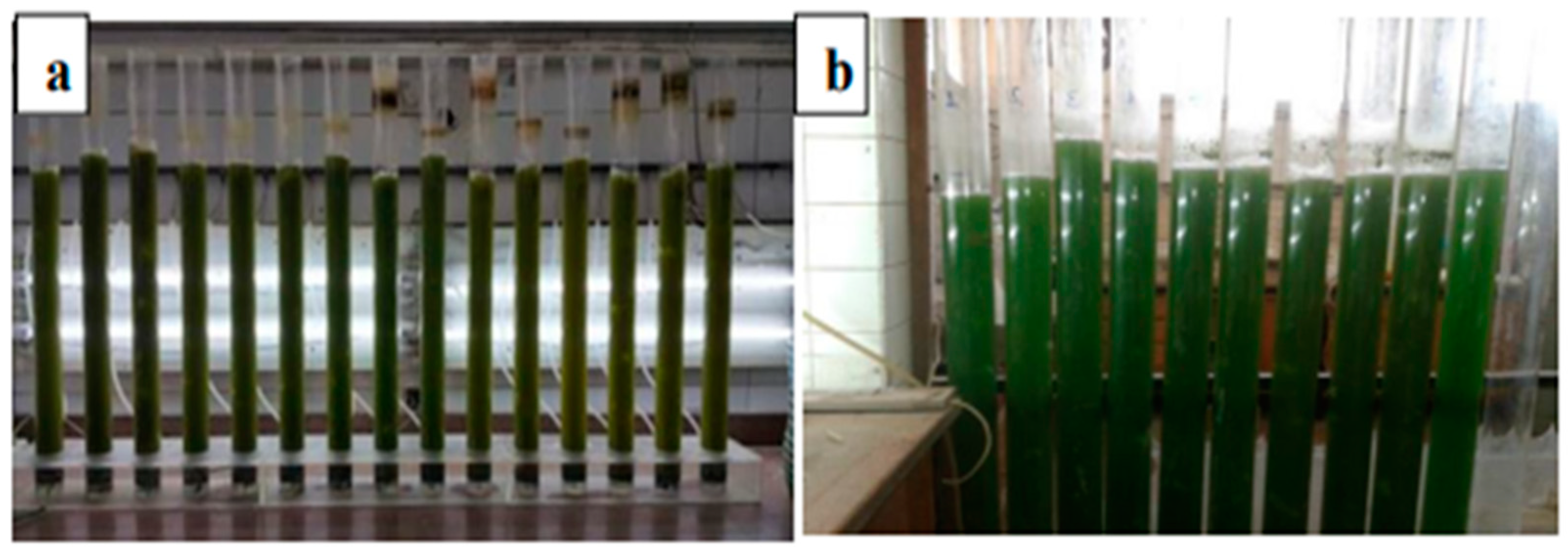 Agriculture 12 01201 g001 Agriculture 12 01201 g001