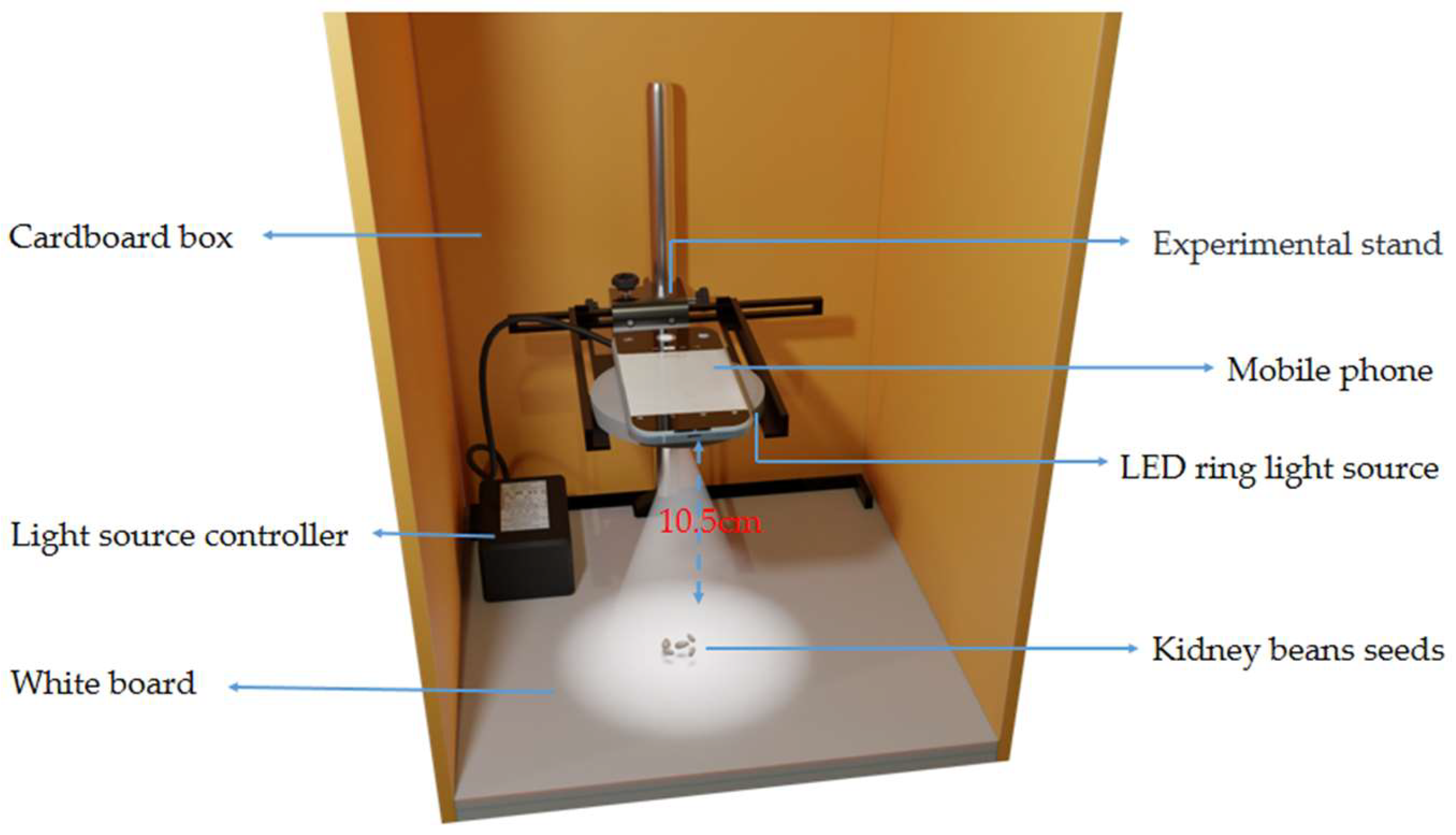 Agriculture 12 01202 g001