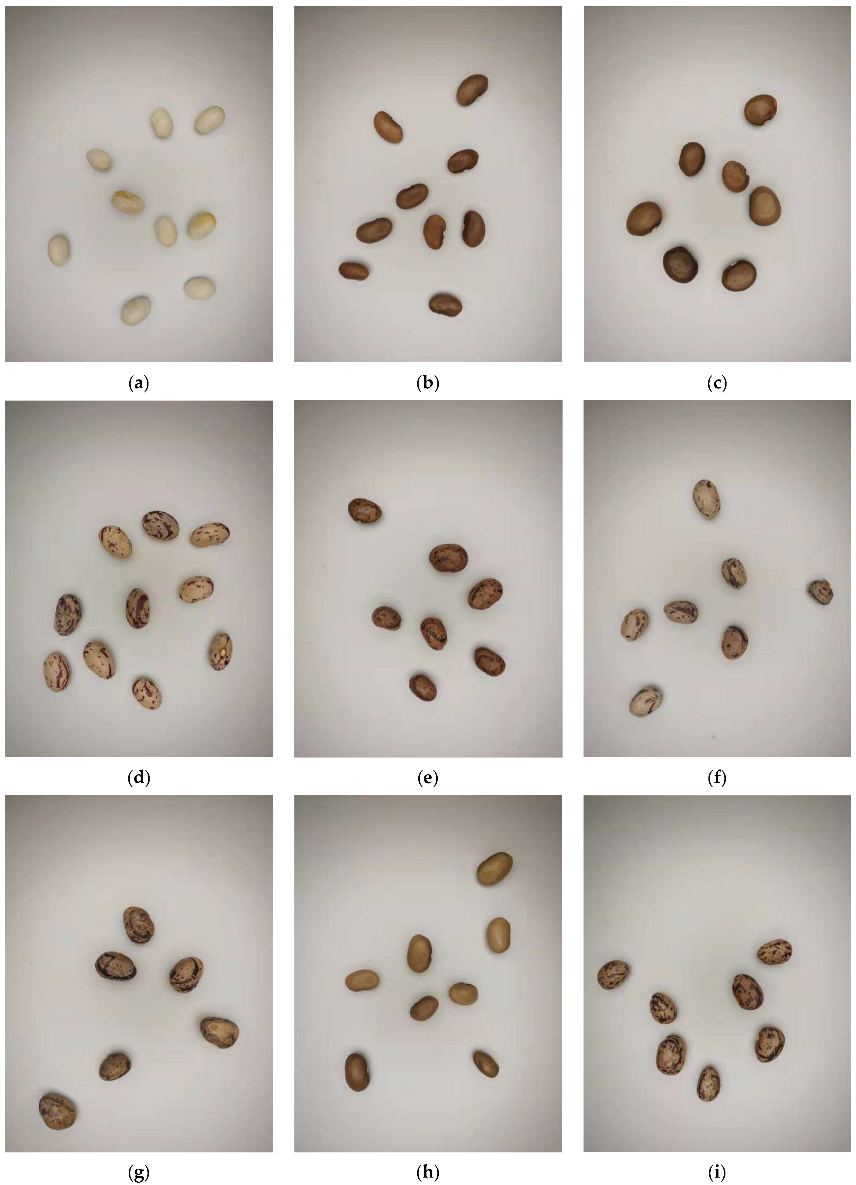 Agriculture 12 01202 g002a