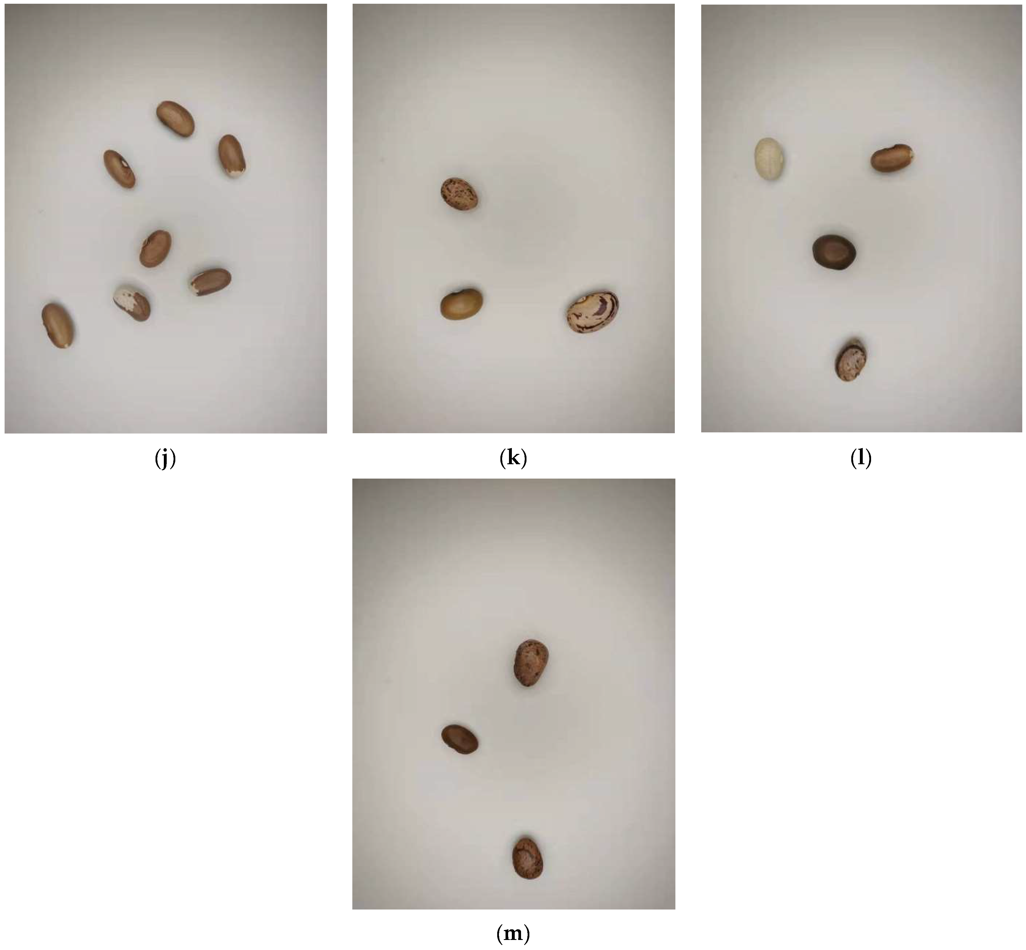 Agriculture 12 01202 g002b