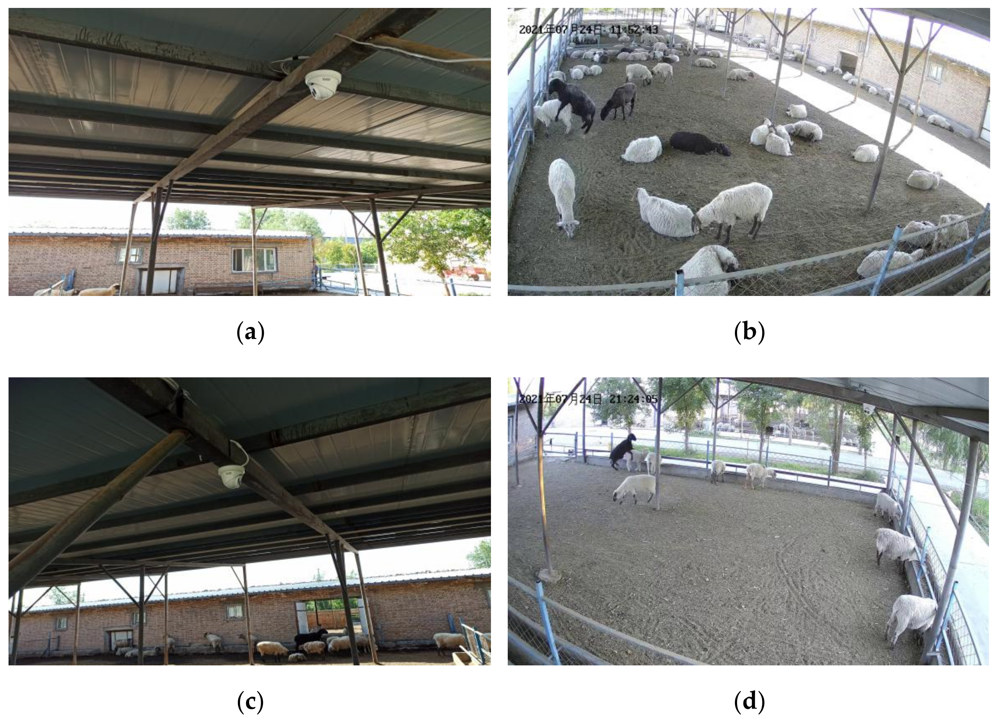 Agriculture 12 01207 g001