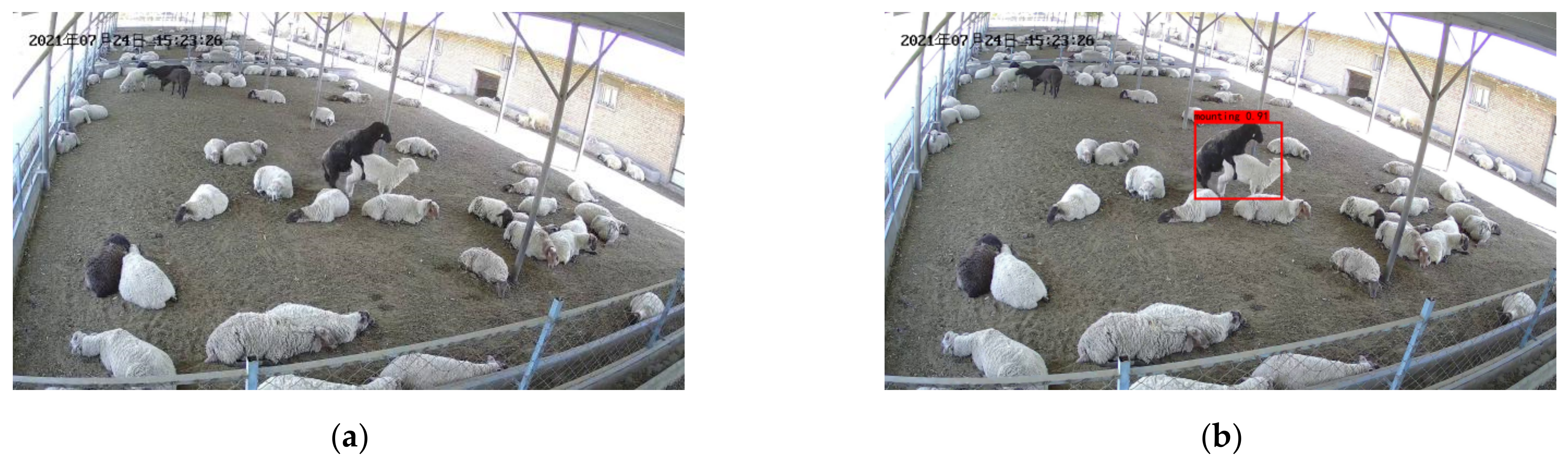 Agriculture 12 01207 g010a