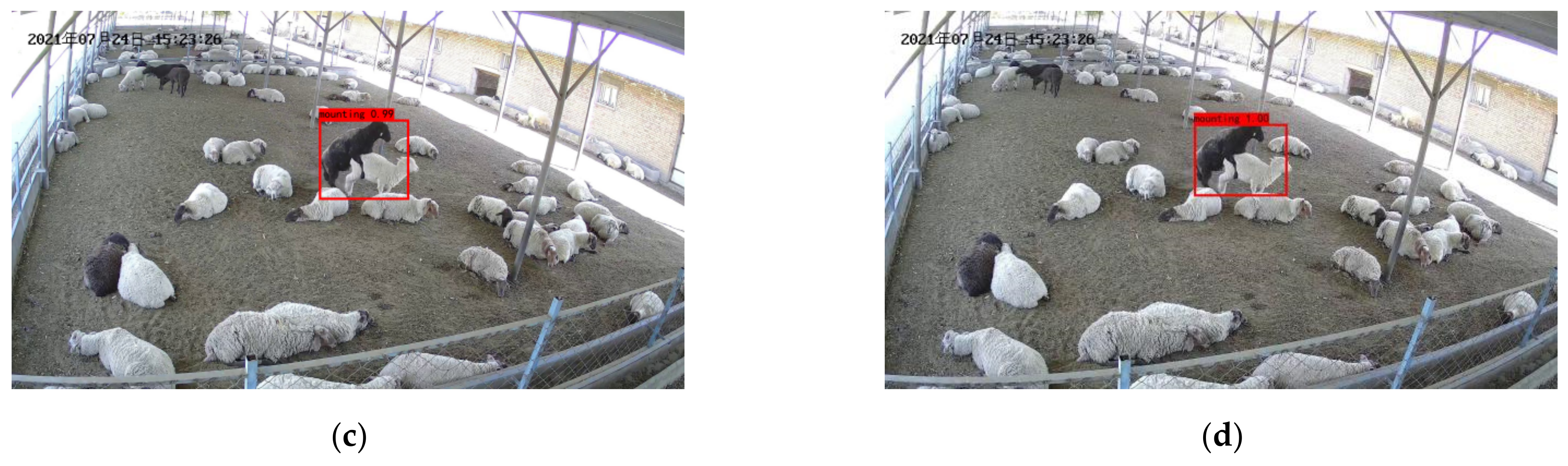 Agriculture 12 01207 g010b