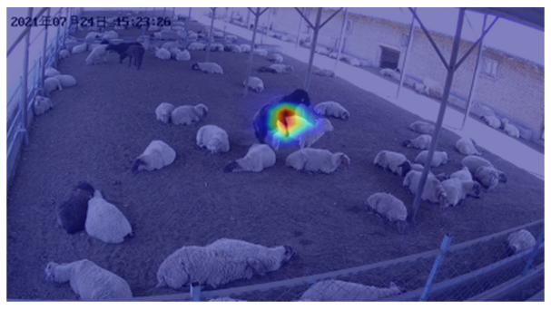 Agriculture 12 01207 i003