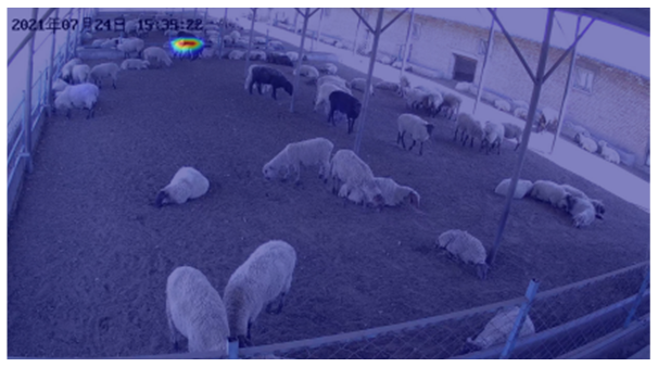 Agriculture 12 01207 i007