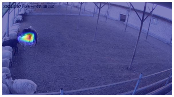 Agriculture 12 01207 i012