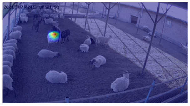 Agriculture 12 01207 i013