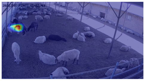 Agriculture 12 01207 i016