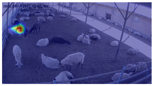 Agriculture 12 01207 i017