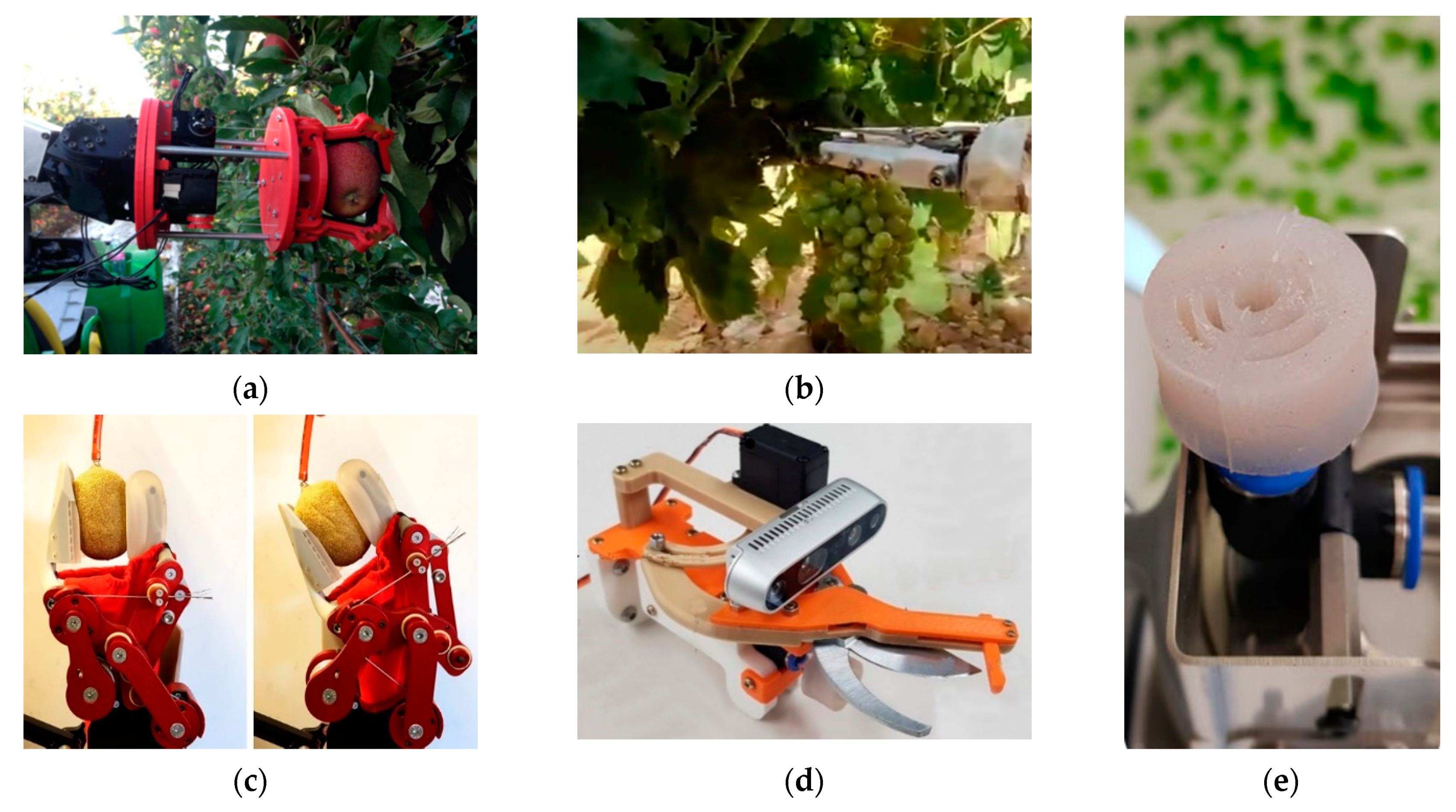 Agriculture 12 01240 g002