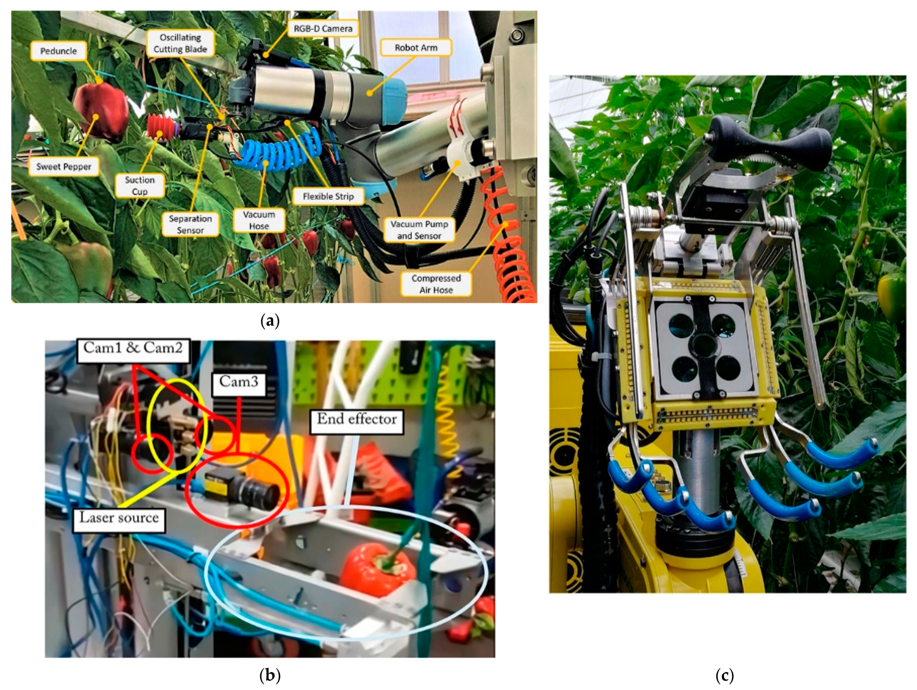 Agriculture 12 01240 g007