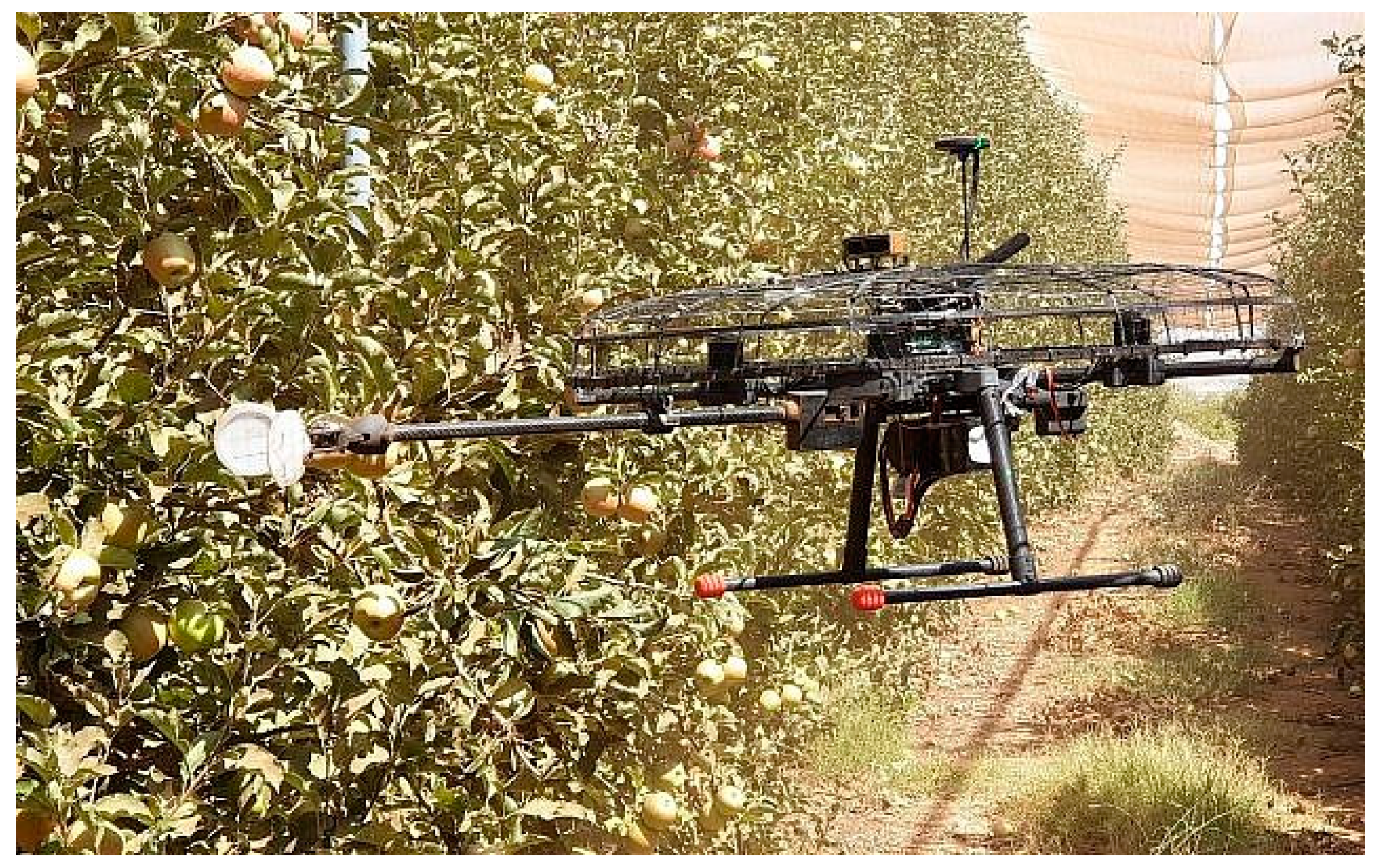 Agriculture 12 01240 g008