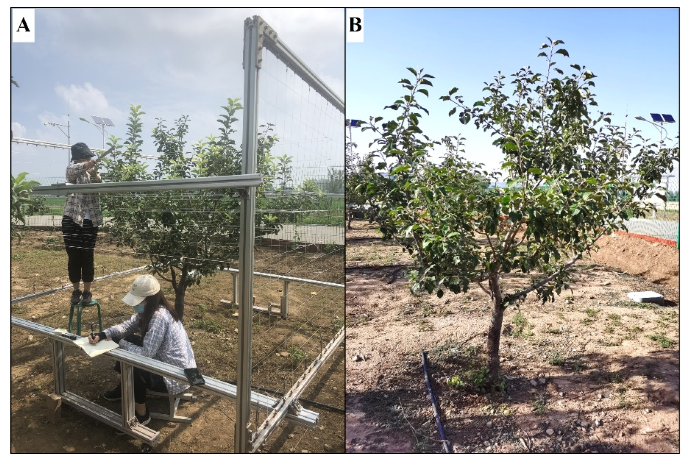 Agriculture 12 01241 g001