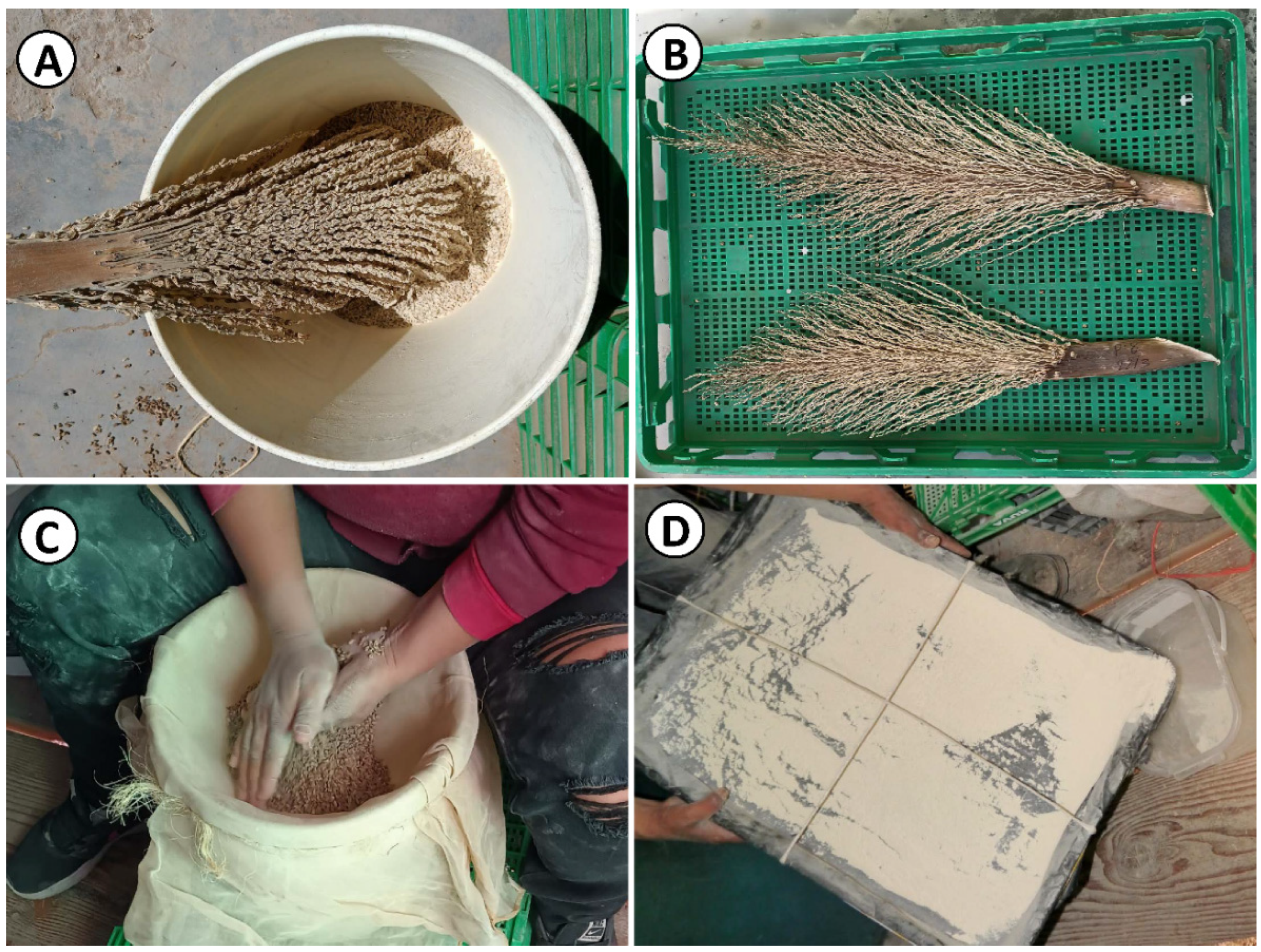 Agriculture 12 01248 g003