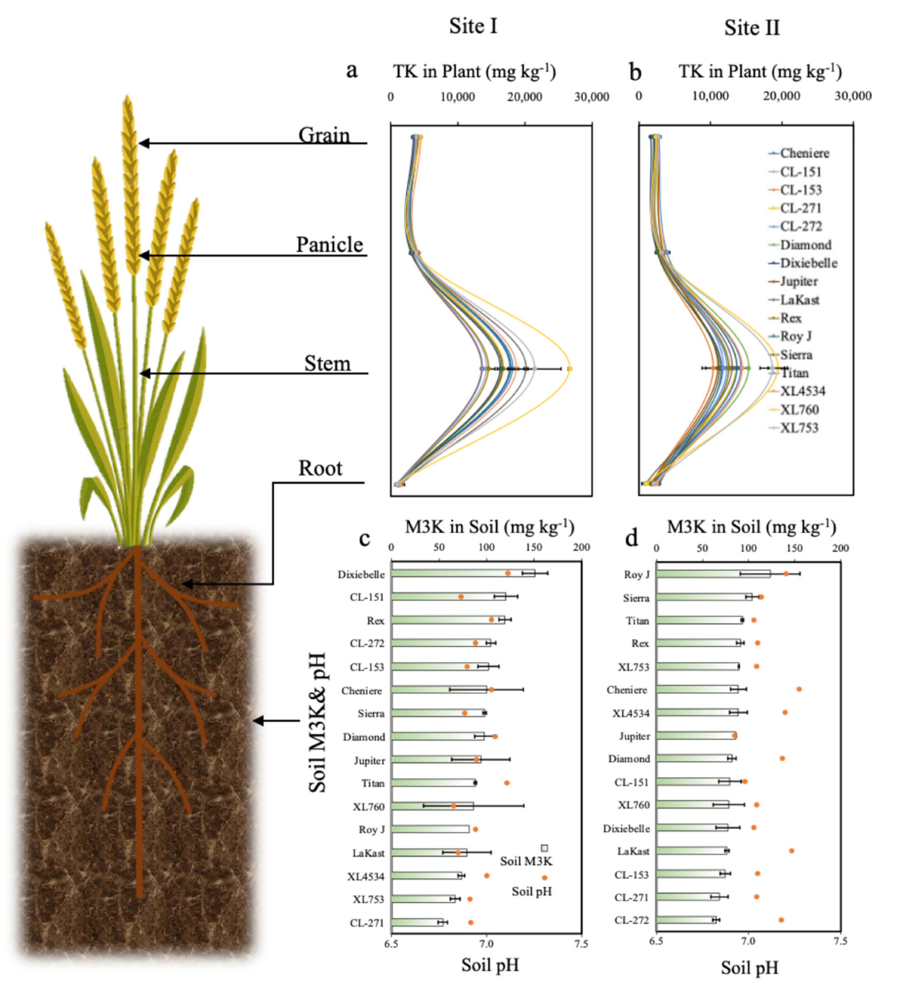 Agriculture 12 01250 g002
