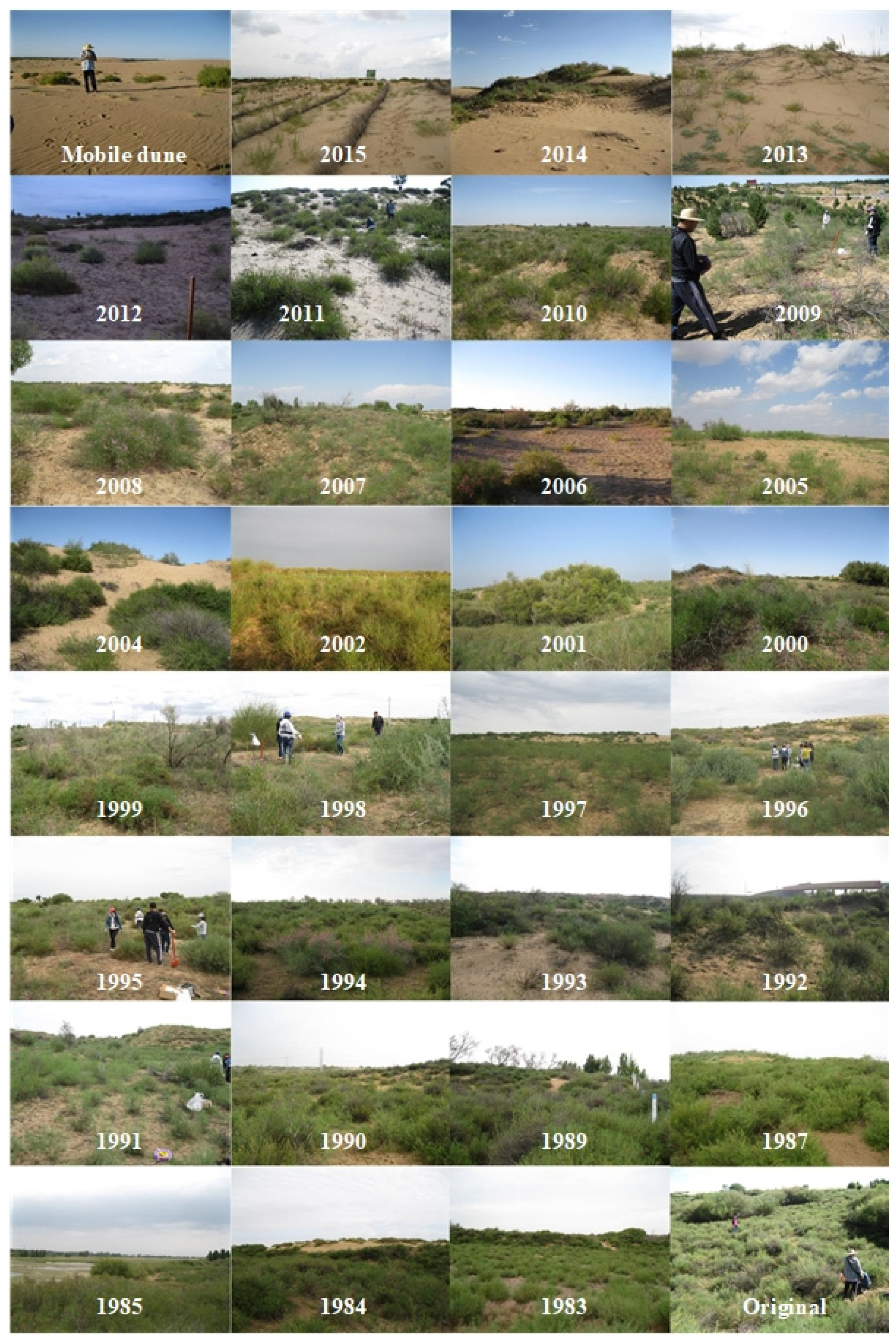 Agriculture 12 01255 g002