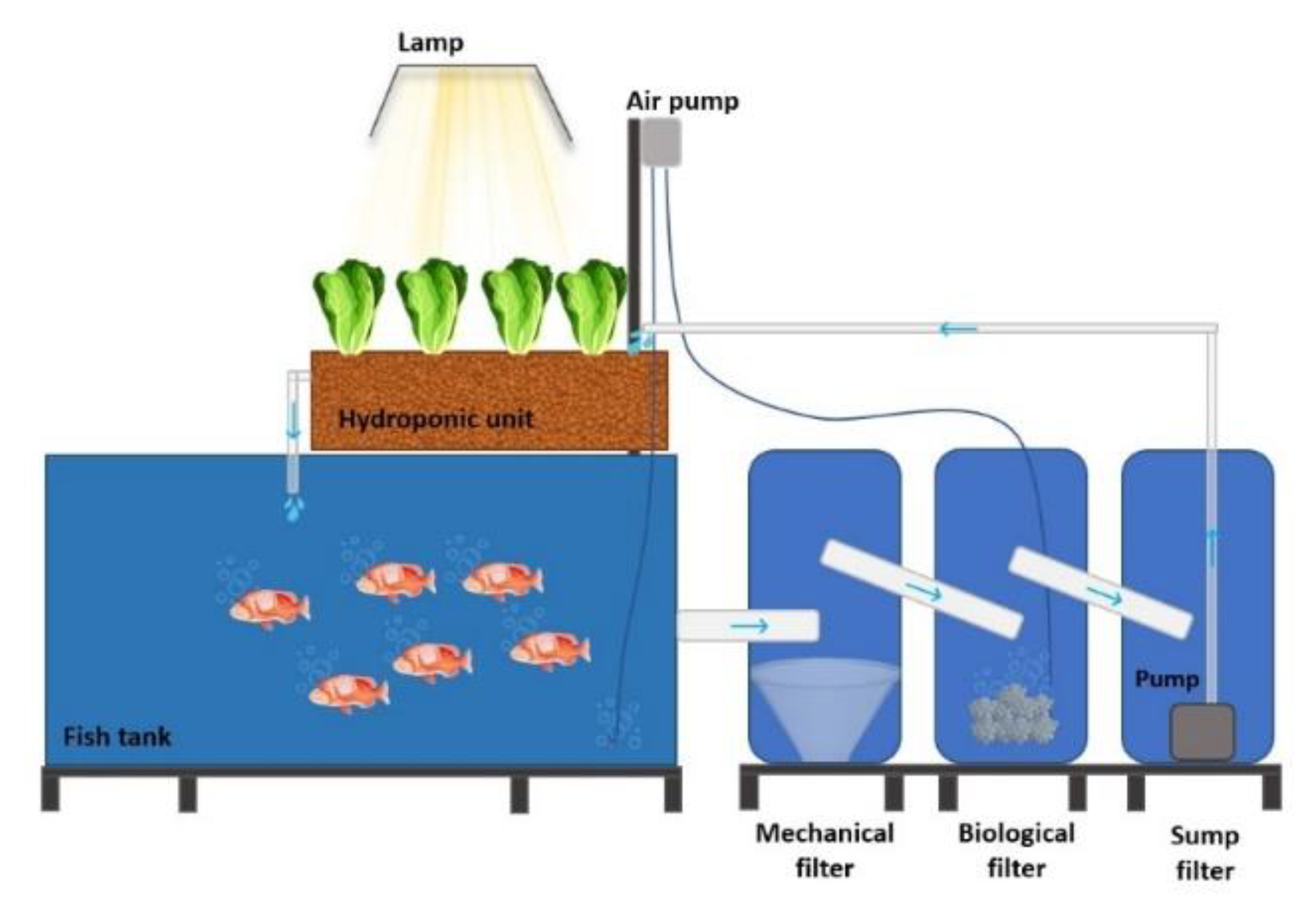 Agriculture 12 01278 g001