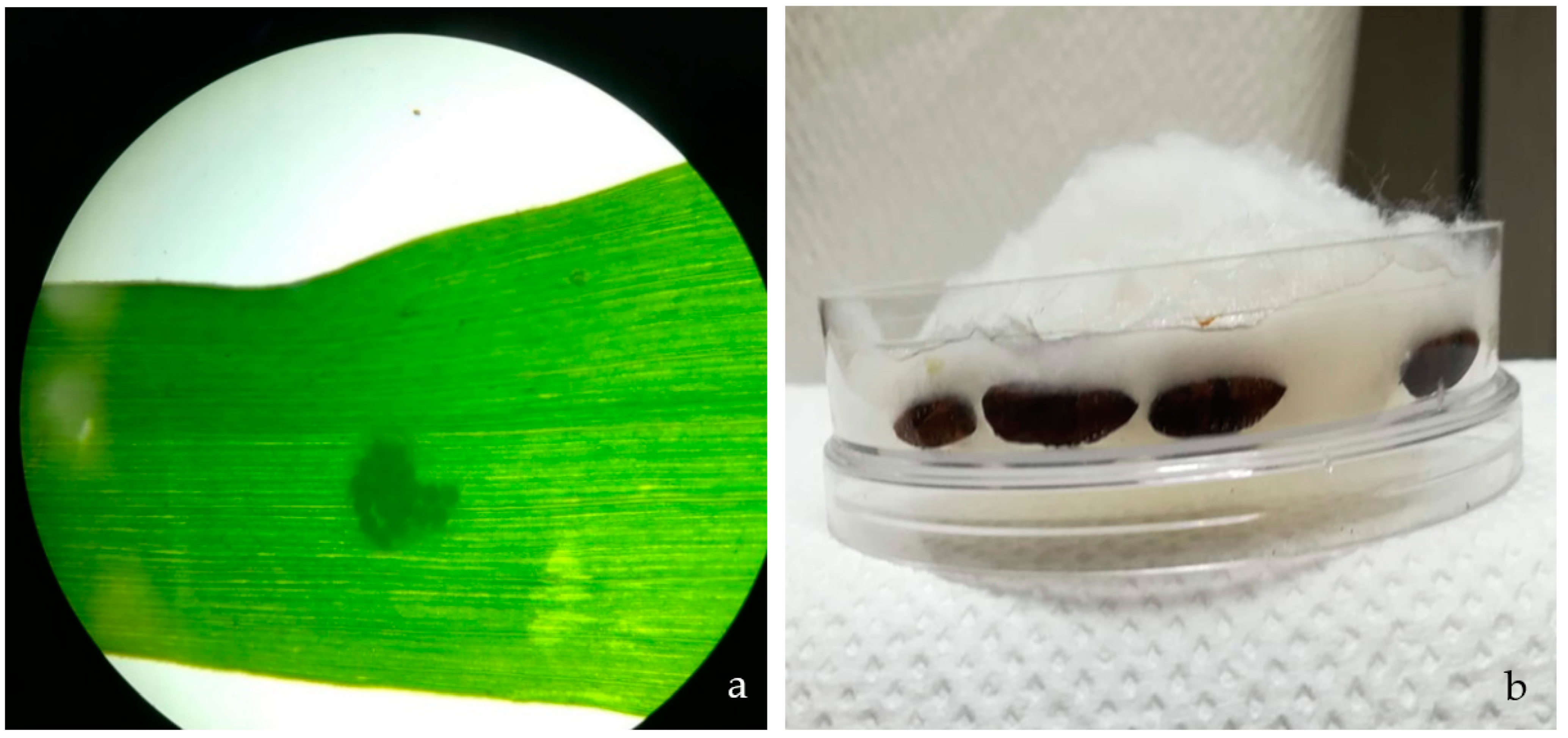 Agriculture 12 01282 g003