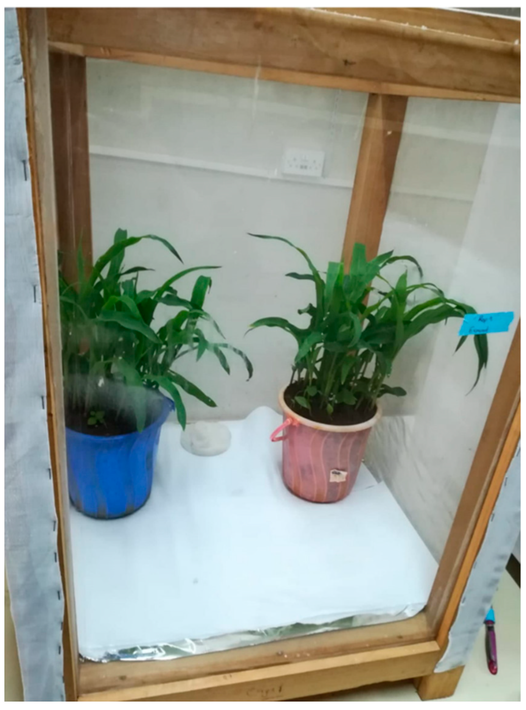 Agriculture 12 01282 g004