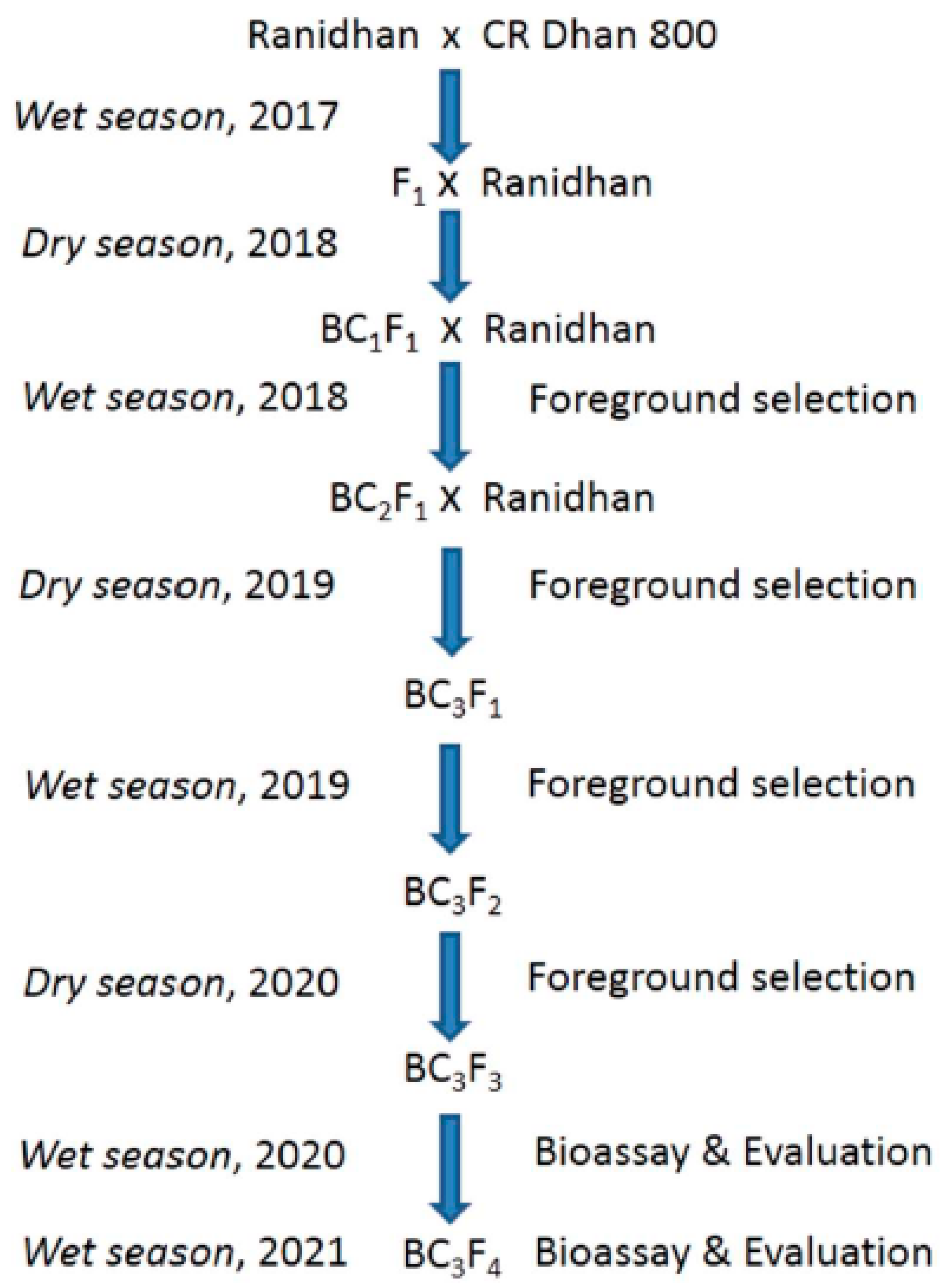 Agriculture 12 01287 g001
