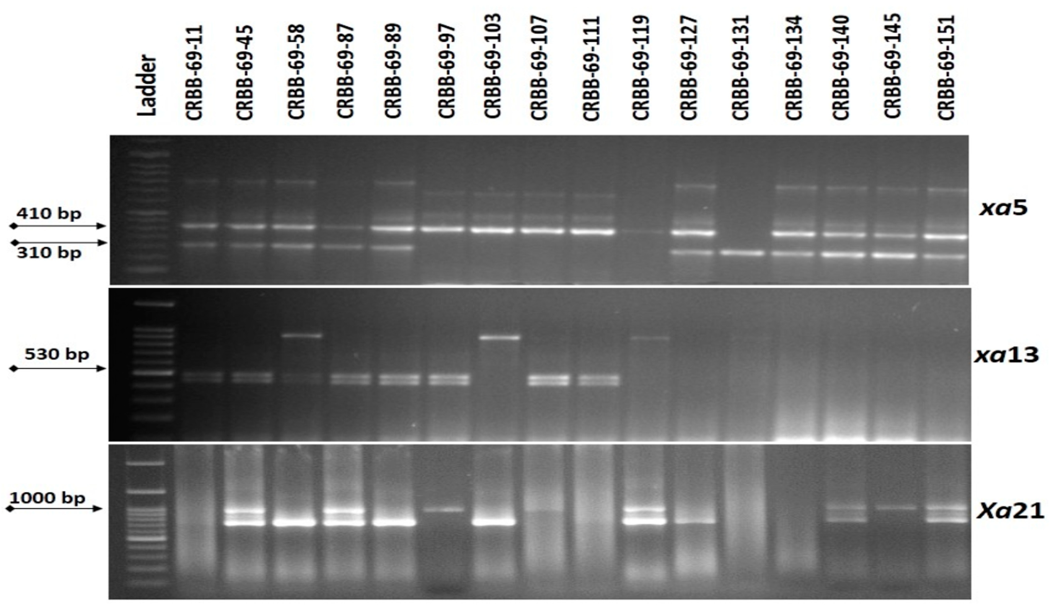 Agriculture 12 01287 g003