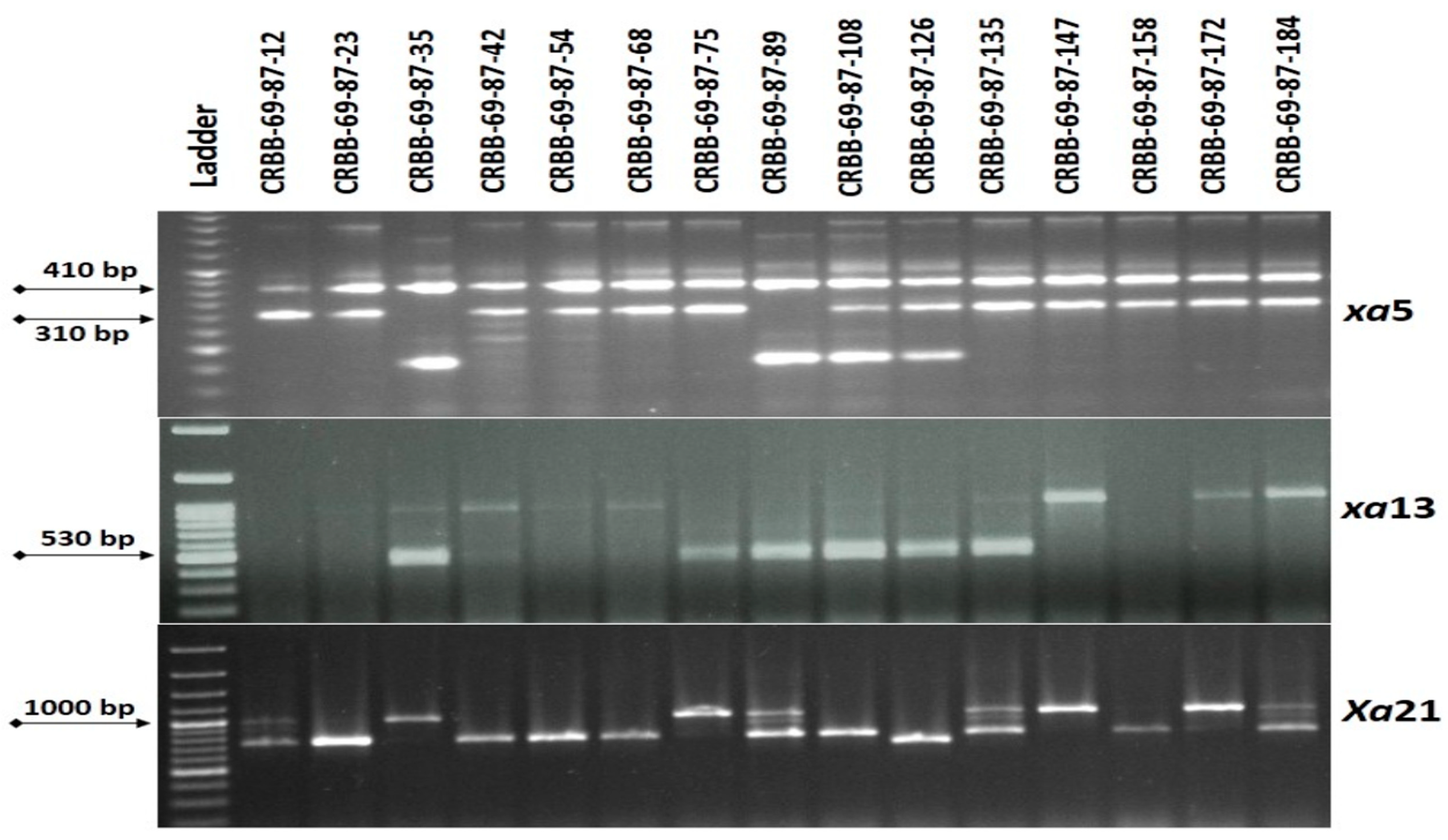 Agriculture 12 01287 g004