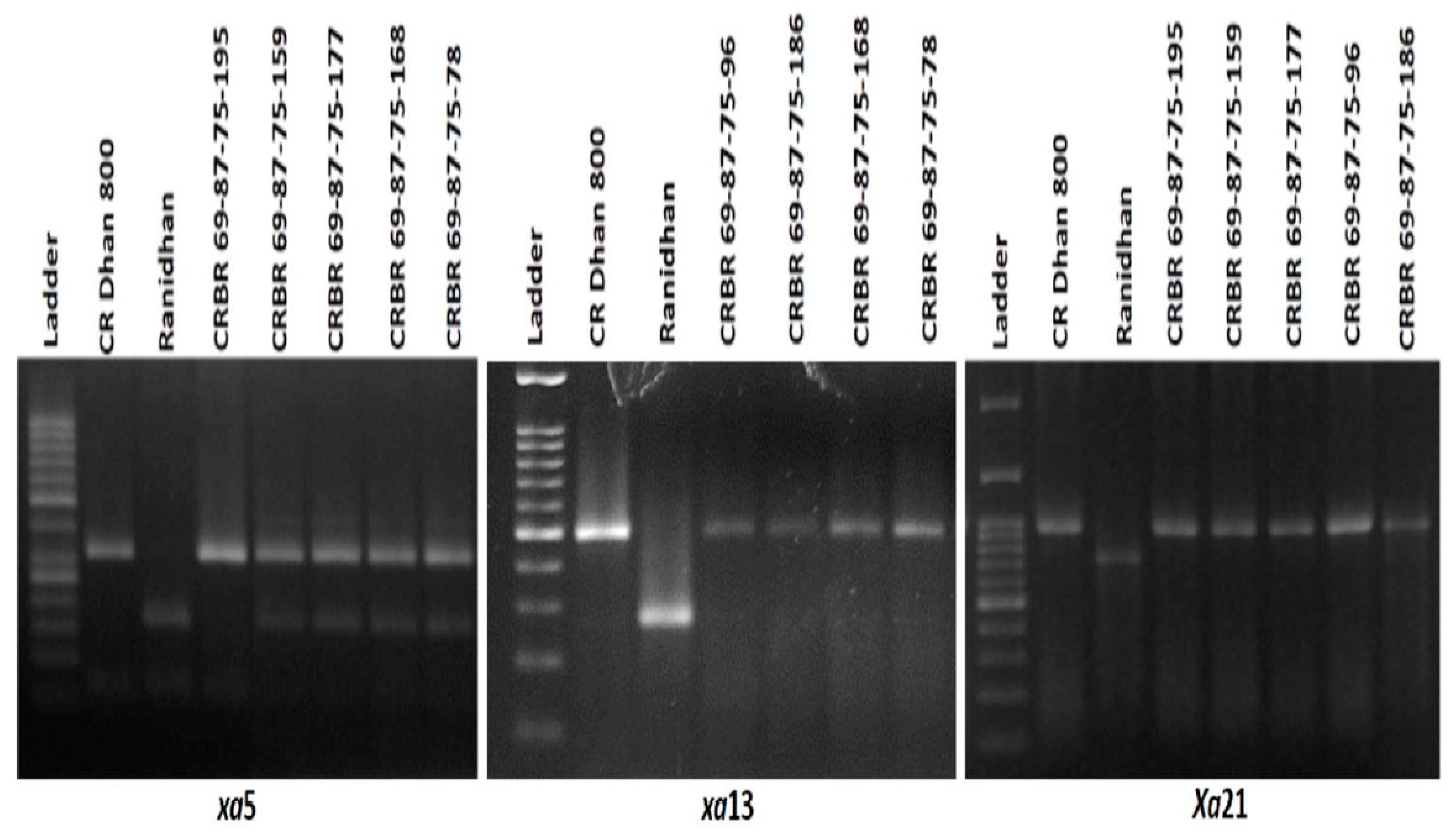 Agriculture 12 01287 g005
