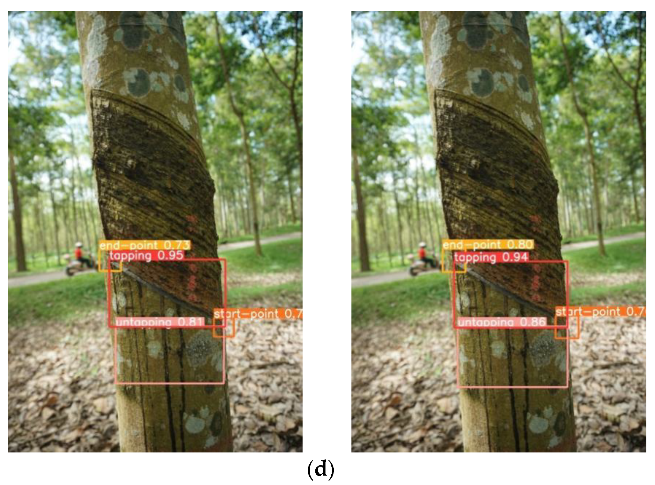 Agriculture 12 01309 g008b