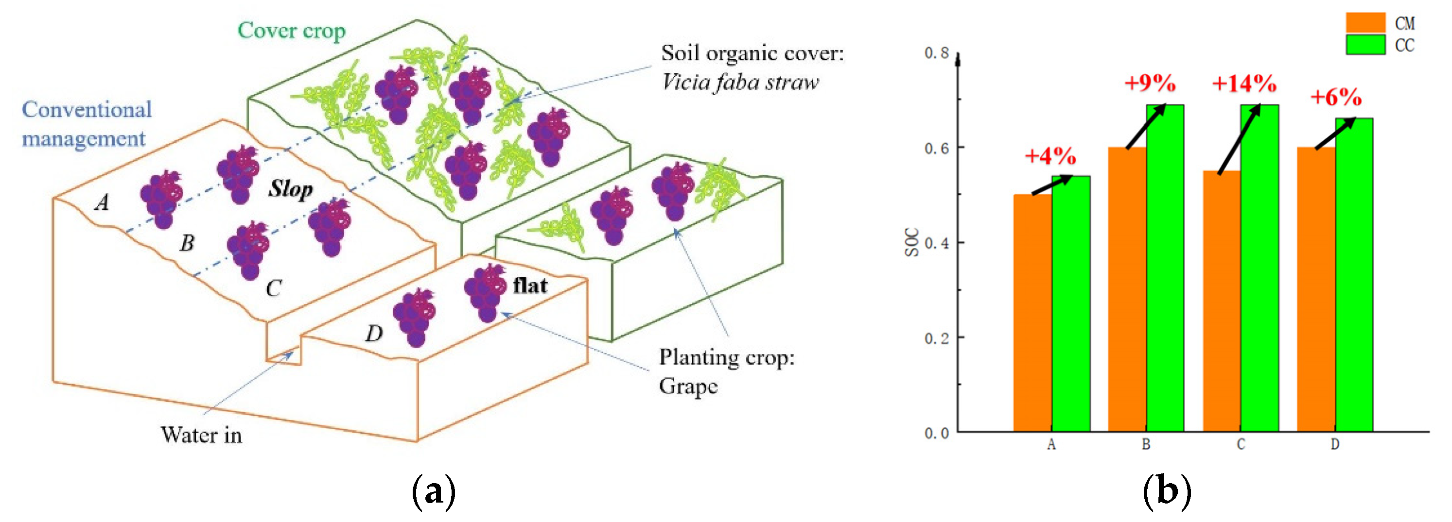 Agriculture 12 01311 g001